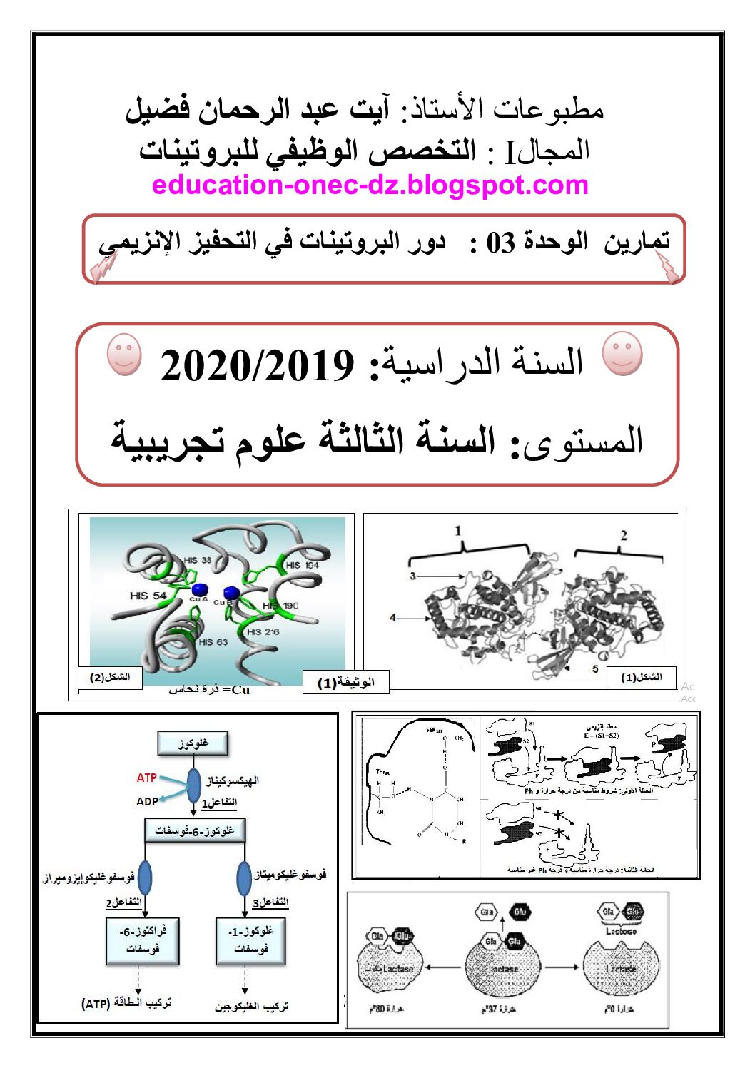 تمارين حول النشاط الانزيمي للبروتينات للأستاذ آيت عبد الرحمان فضيل 3 ثانوي