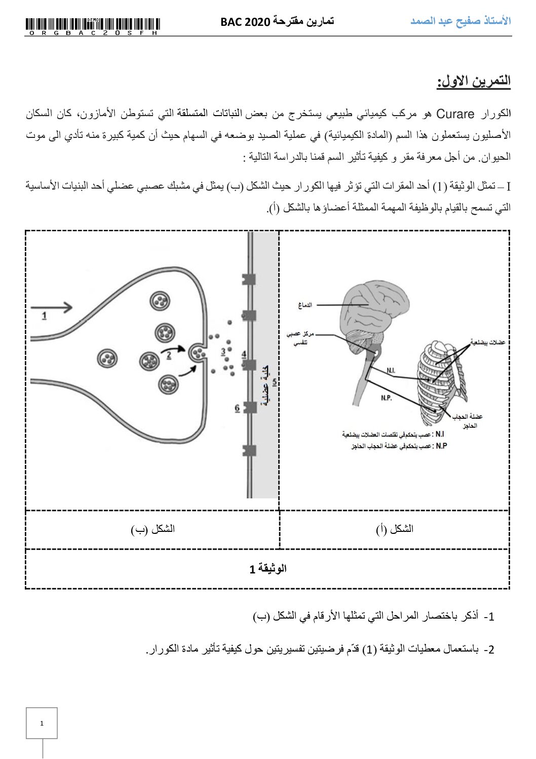 تمارين في المناعة و الاتصال العصبي في العلوم الطبيعية للاستاذ صفيح عبد الصمد 3 ثانوي