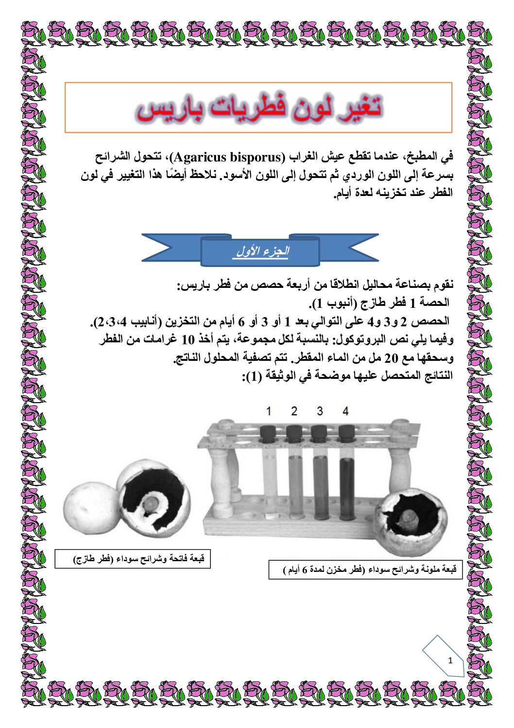 تمرين حول التخصص الوظيفي للبروتينات في التحفيز الإنزيمي للأستاذ حيمر 3 ثانوي
