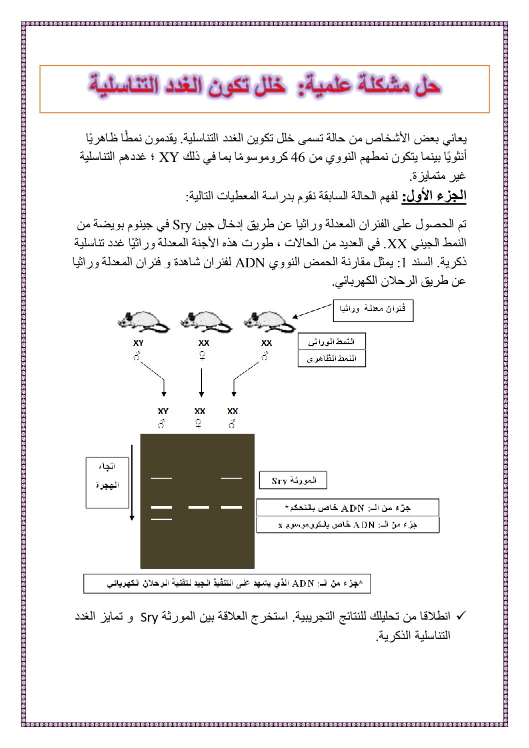تمرين حول العلاقة بين بنية و وظيفة البروتين في مادة العلوم الطبيعية للأستاذ حيمر 3 ثانوي