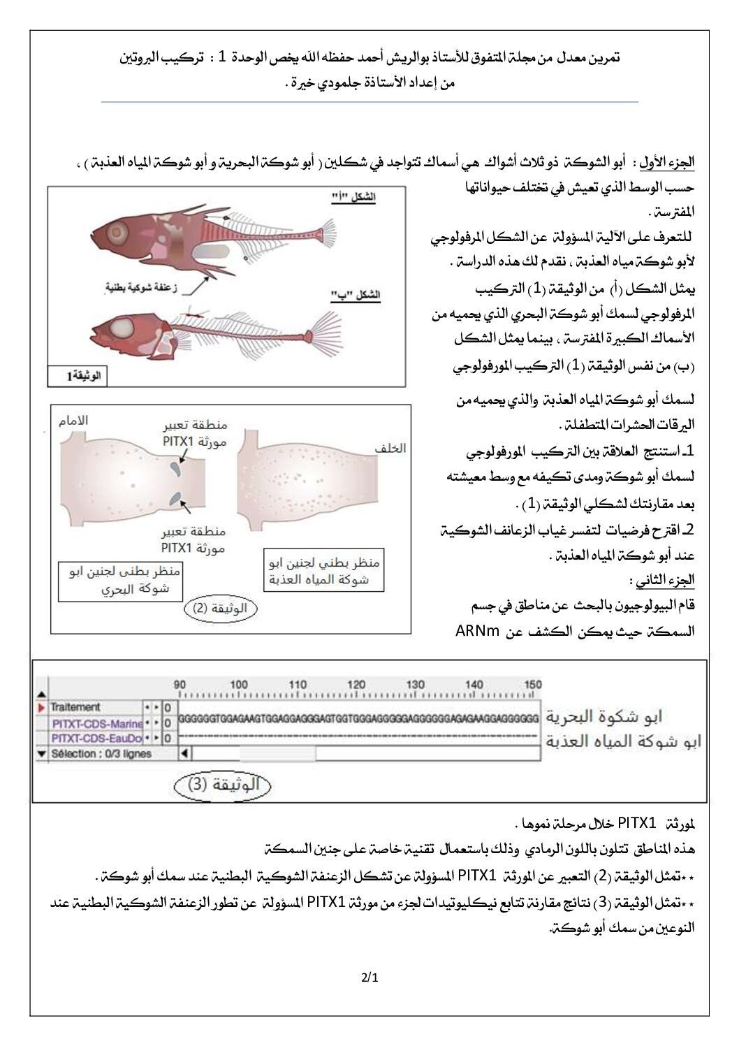 تمرين في وحدة تركيب البروتين في مادة العلوم الطبيعية للأستاذ بوالريش أحمد 3 ثانوي
