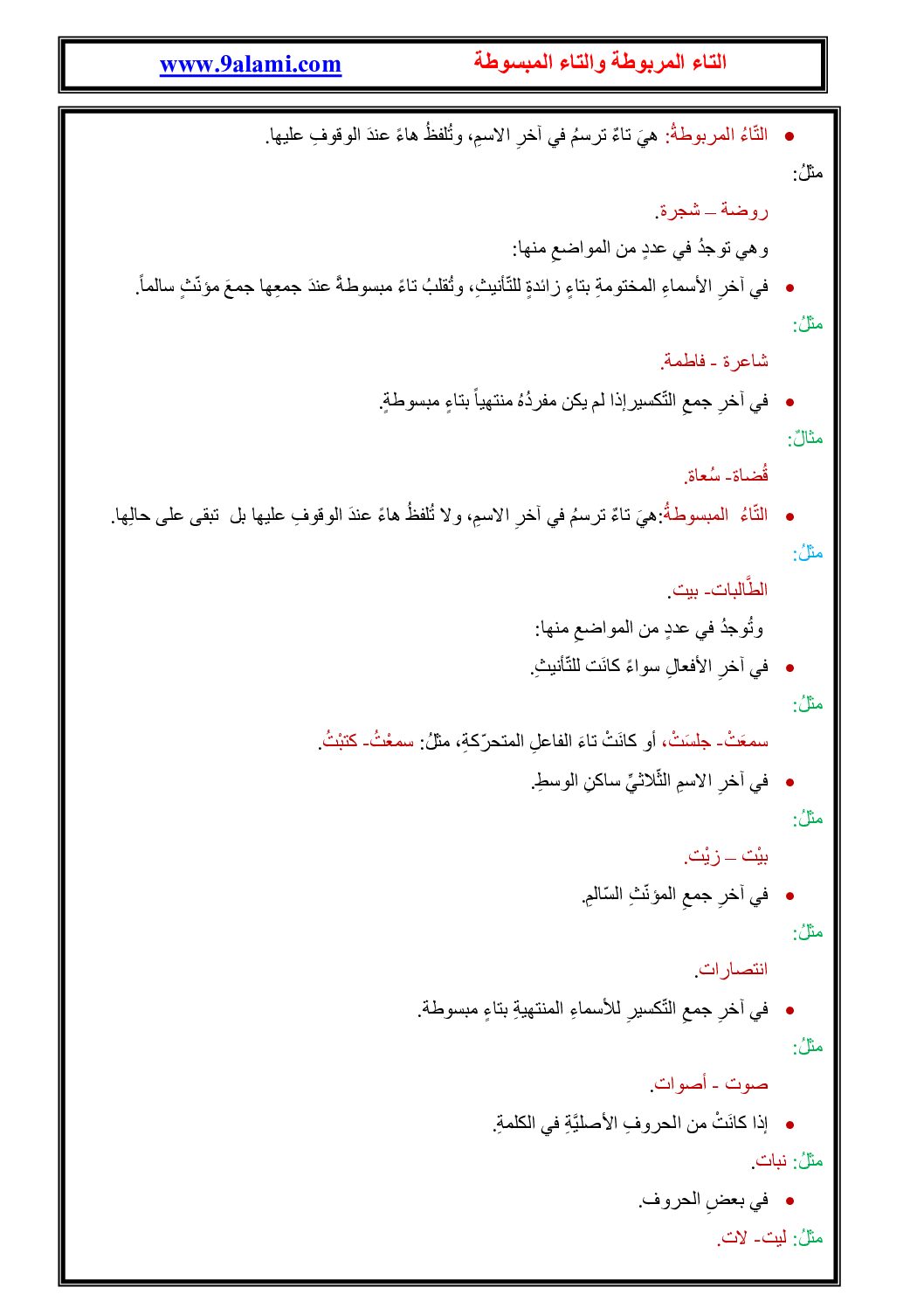 درس الإملاء التاء المربوطة والتاء المبسوطة