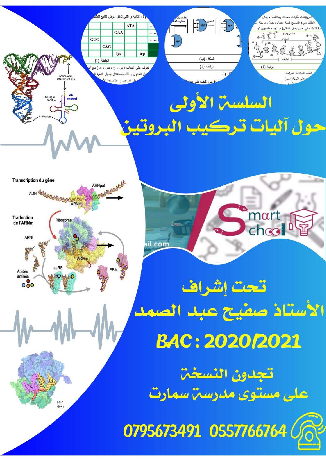سلسلة تمارين حول آليات تركيب البروتين للاستاذ صفيح عبد الصمد 3 ثانوي