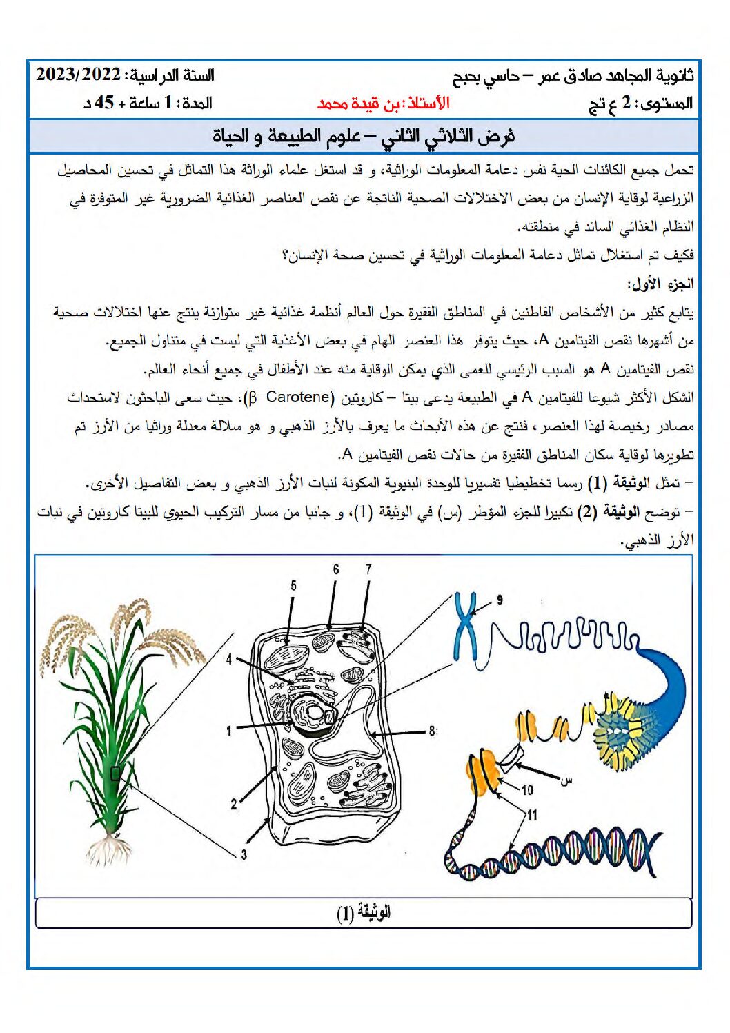 فرض في العلوم الطبيعية الفصل الثاني السنة الثانية ثانوي علوم تجريبية رقم 27 مع التصحيح