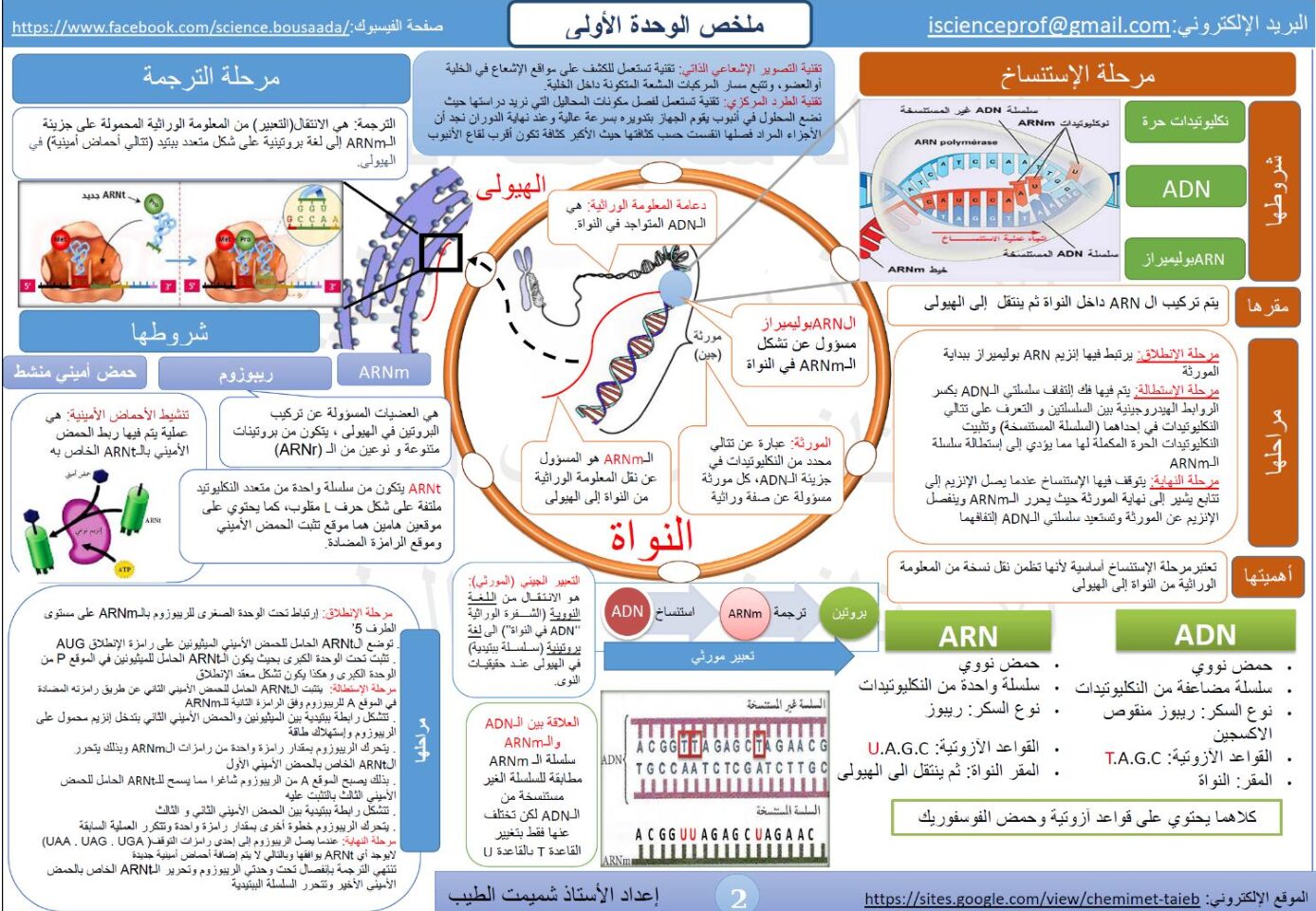 مطوية ملخصات العلوم الطبيعية للباكالوريا من إعداد الأستاذ شميمت الطيب 3 ثانوي