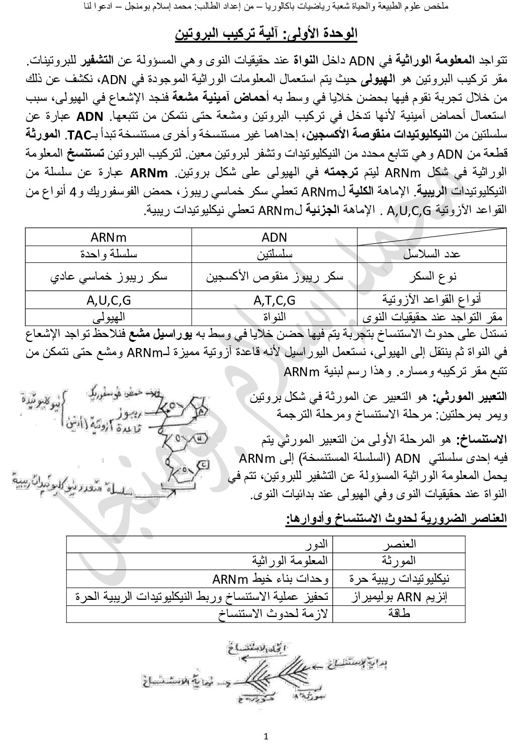 ملخص شامل في مادة علوم الطبيعة و الحياة شعبة الرياضيات للطالب محمد إسلام بومنجل 3 ثانوي