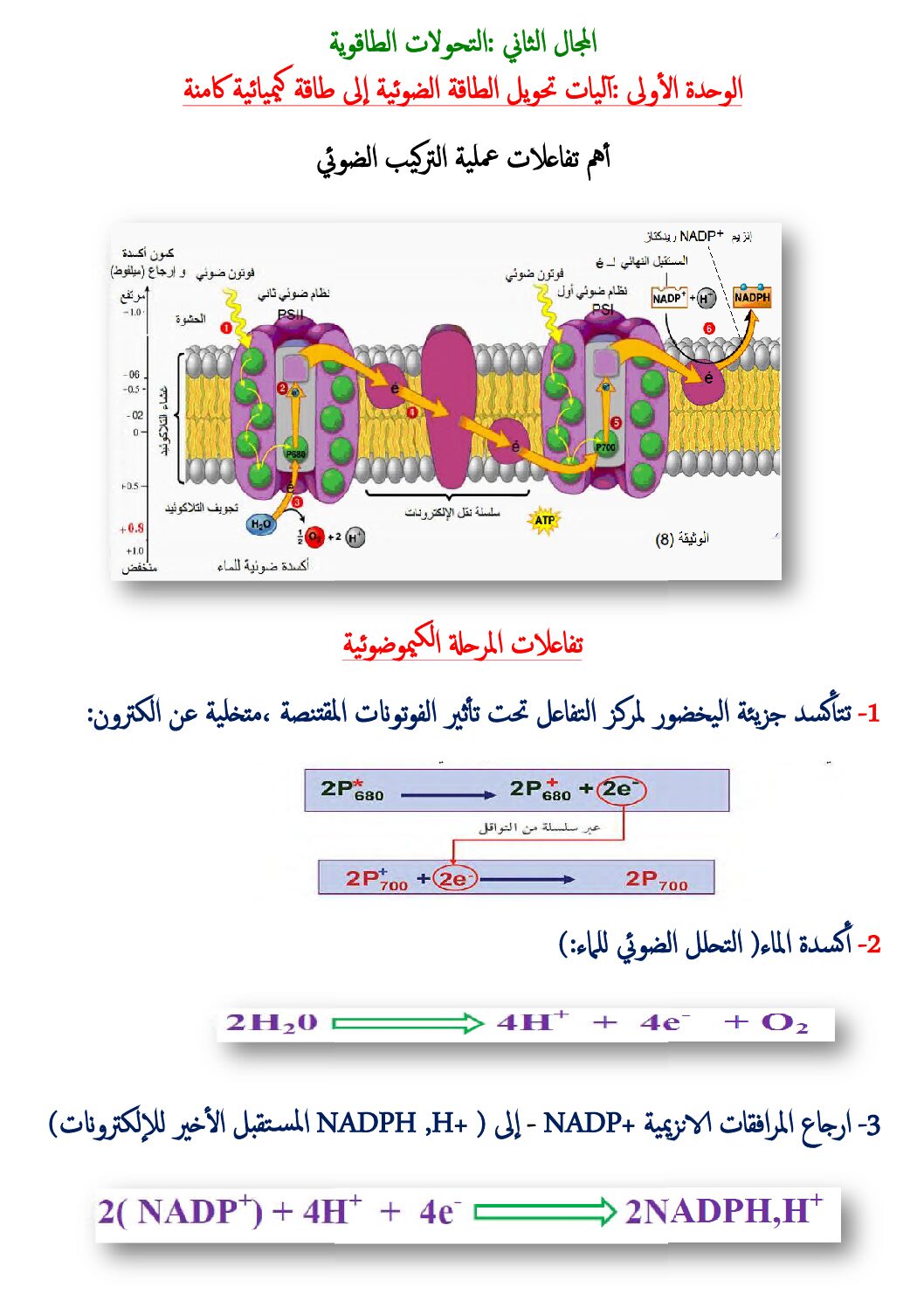 ملخص لأهم تفاعلات عملية التركيب الضوئي للأستاذ الماحي 3 ثانوي