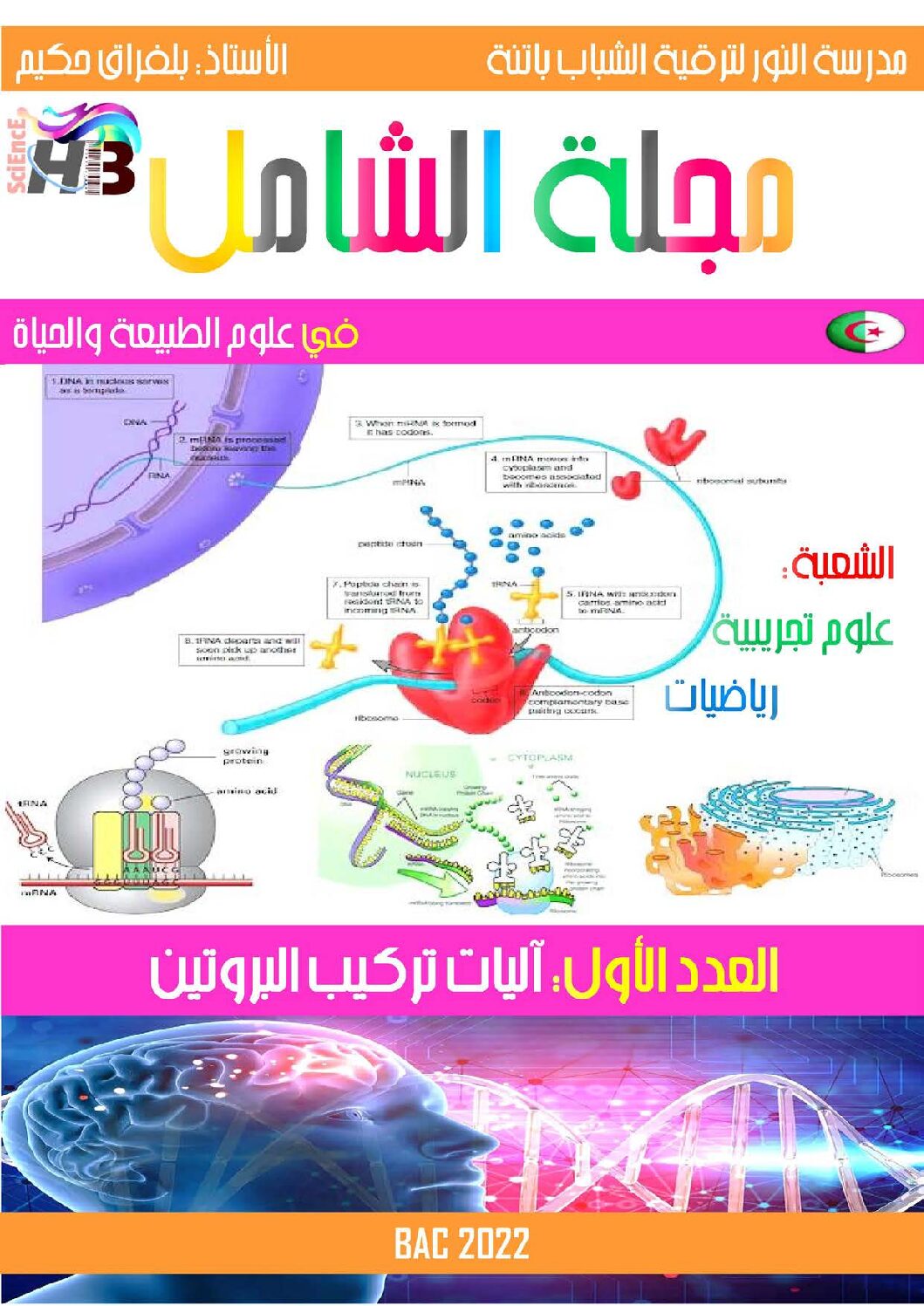 ملخص وحدة آليات تركيب البروتين من مجلة الشامل للأستاذ بلفراق حكيم 3 ثانوي