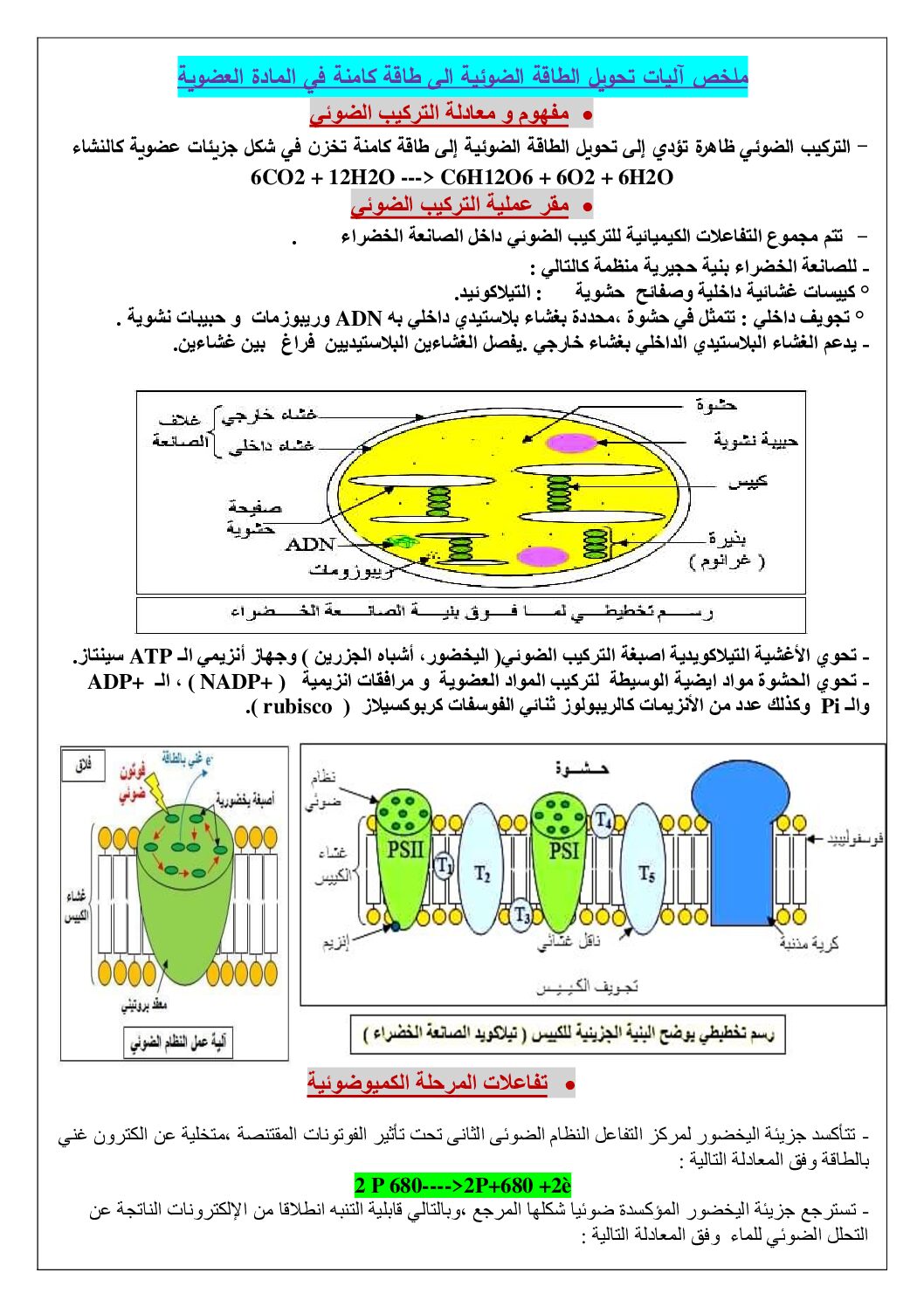 ملخص وحدة التركيب الضوئي في العلوم الطبيعية للاستاذ ابو حفص فاتح 3 ثانوي