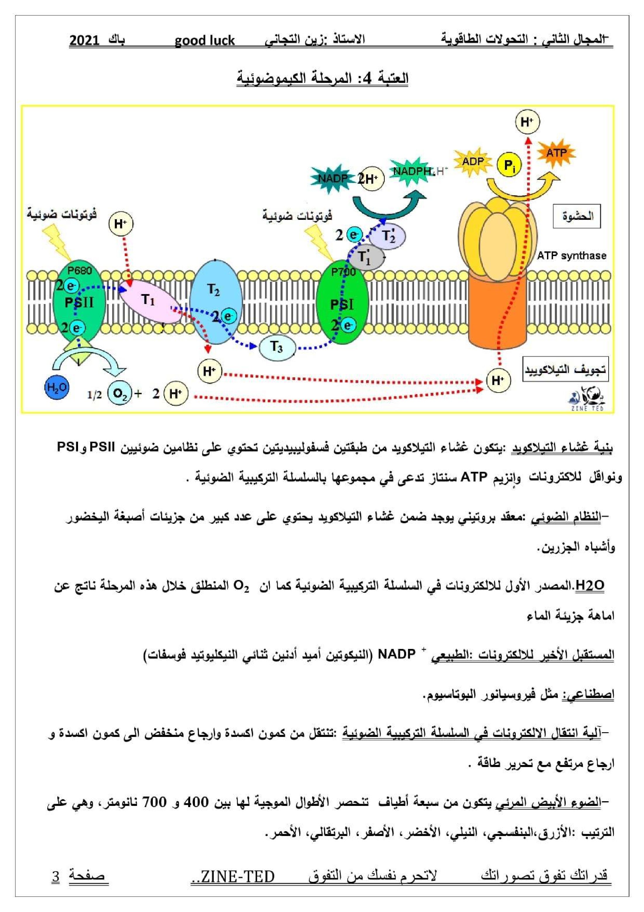 ملخص وحدة التركيب الضوئي للاستاذ زين التجاني 3 ثانوي