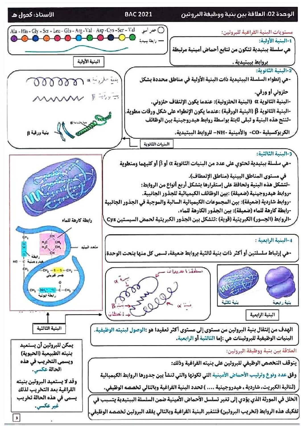 ملخص وحدة العلاقة بين بنية و وظيفة البروتين للأستاذ آيت كحول 3 ثانوي