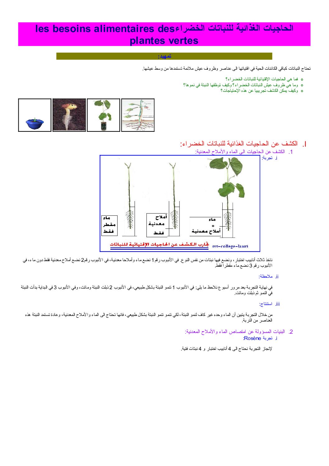 المستوى الأول درس التغذية عند النباتات علوم طبيعية 4 متوسط