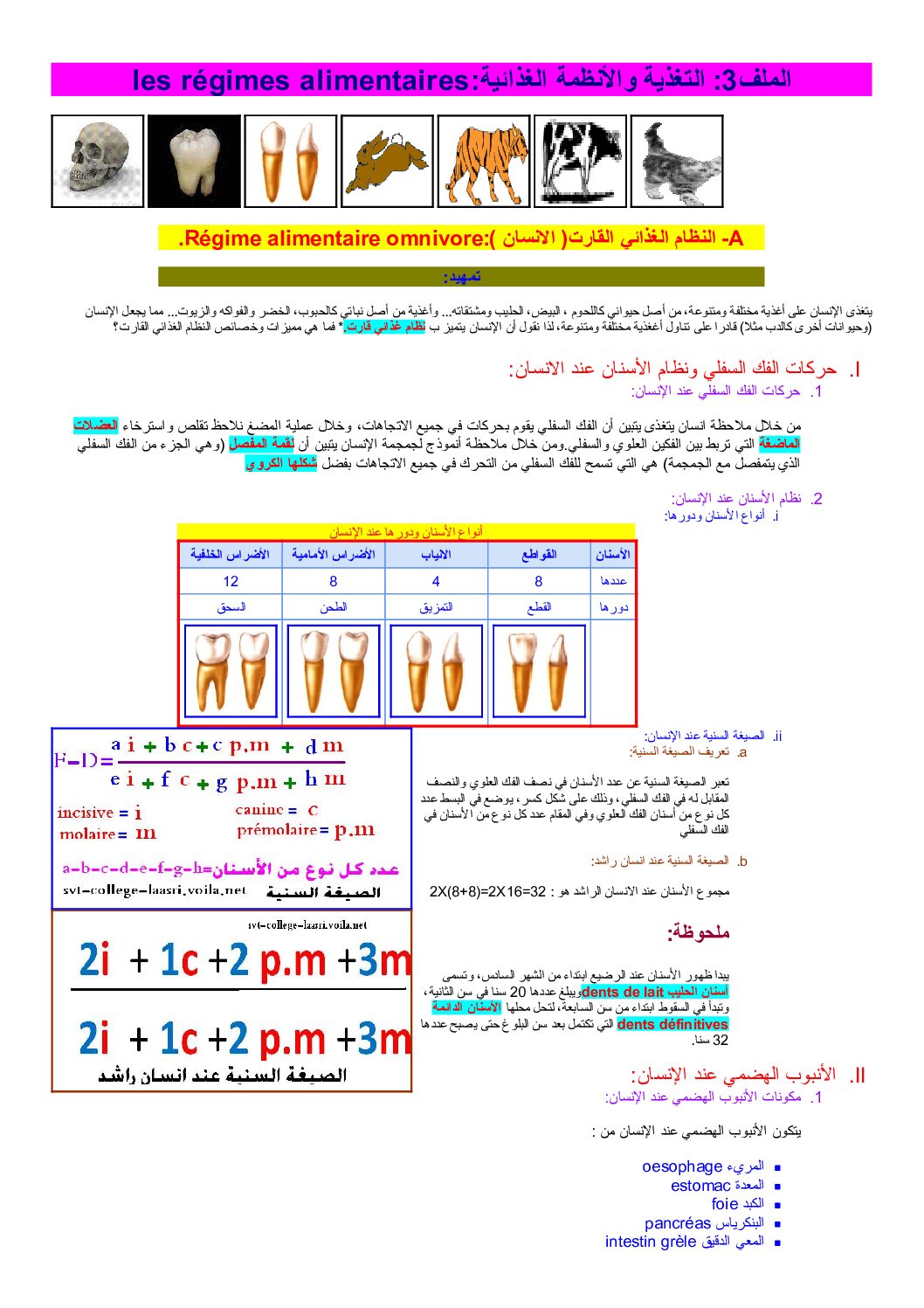 المستوى الأول درس التغذية والأنظمة الغذائية علوم طبيعية 4 متوسط