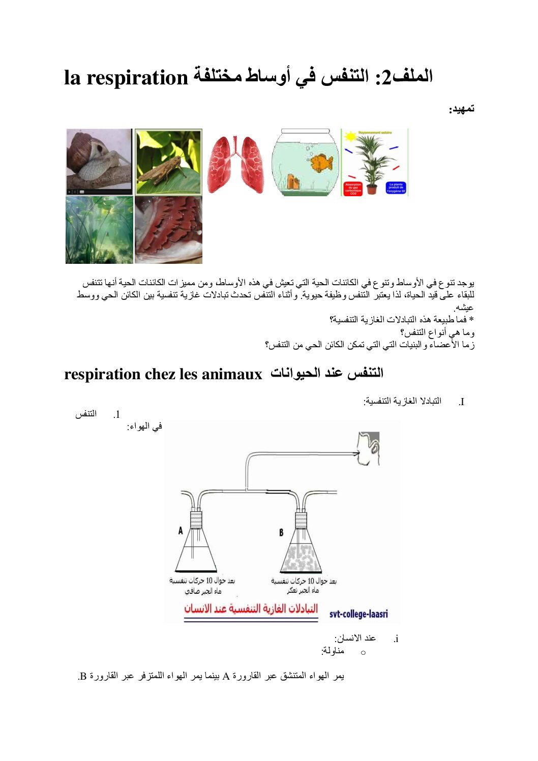المستوى الأول درس التنفس في أوساط مختلفة علوم طبيعية 4 متوسط