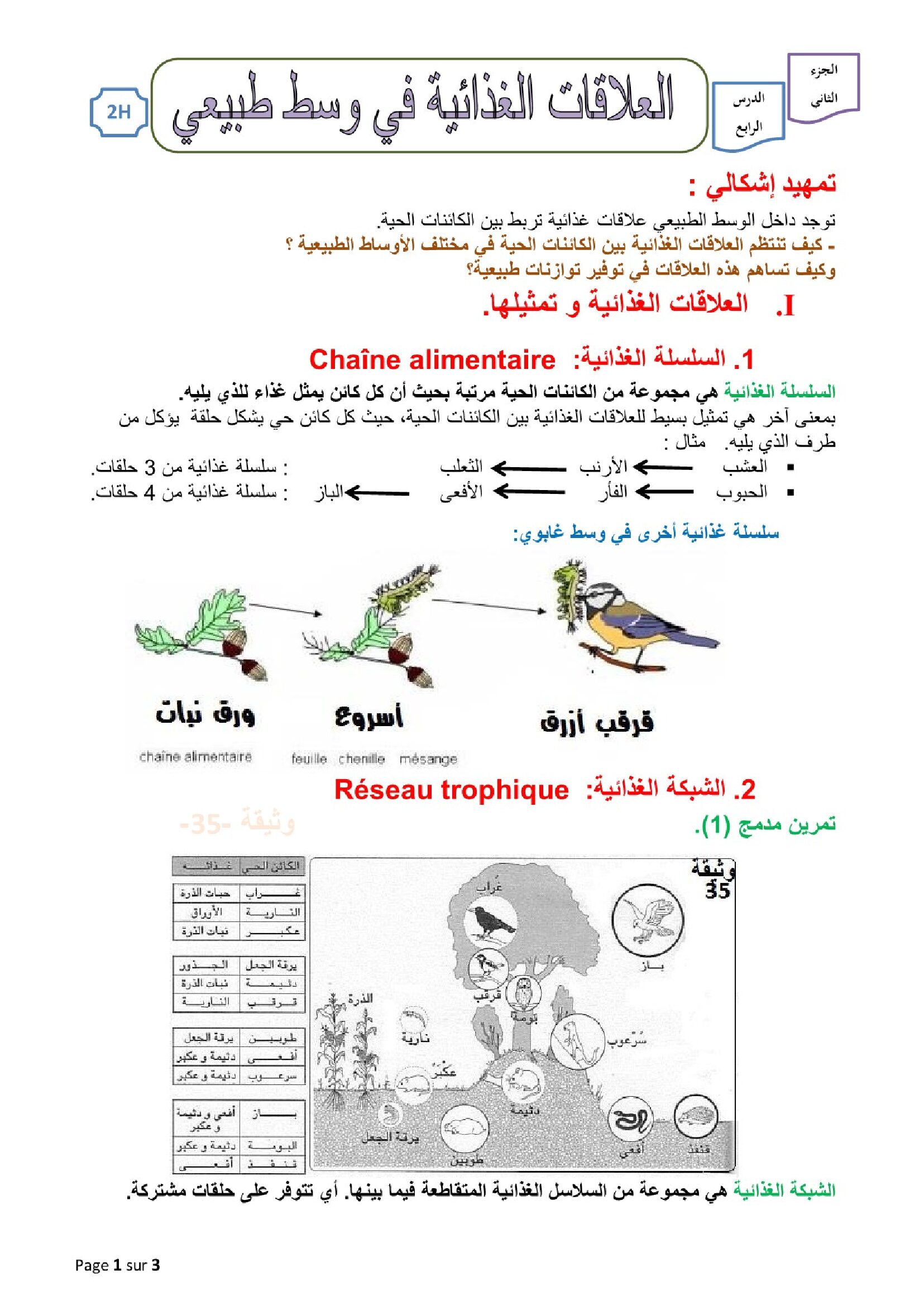 المستوى الأول درس العلاقات الغذائية في وسط طبيعي علوم طبيعية 4 متوسط