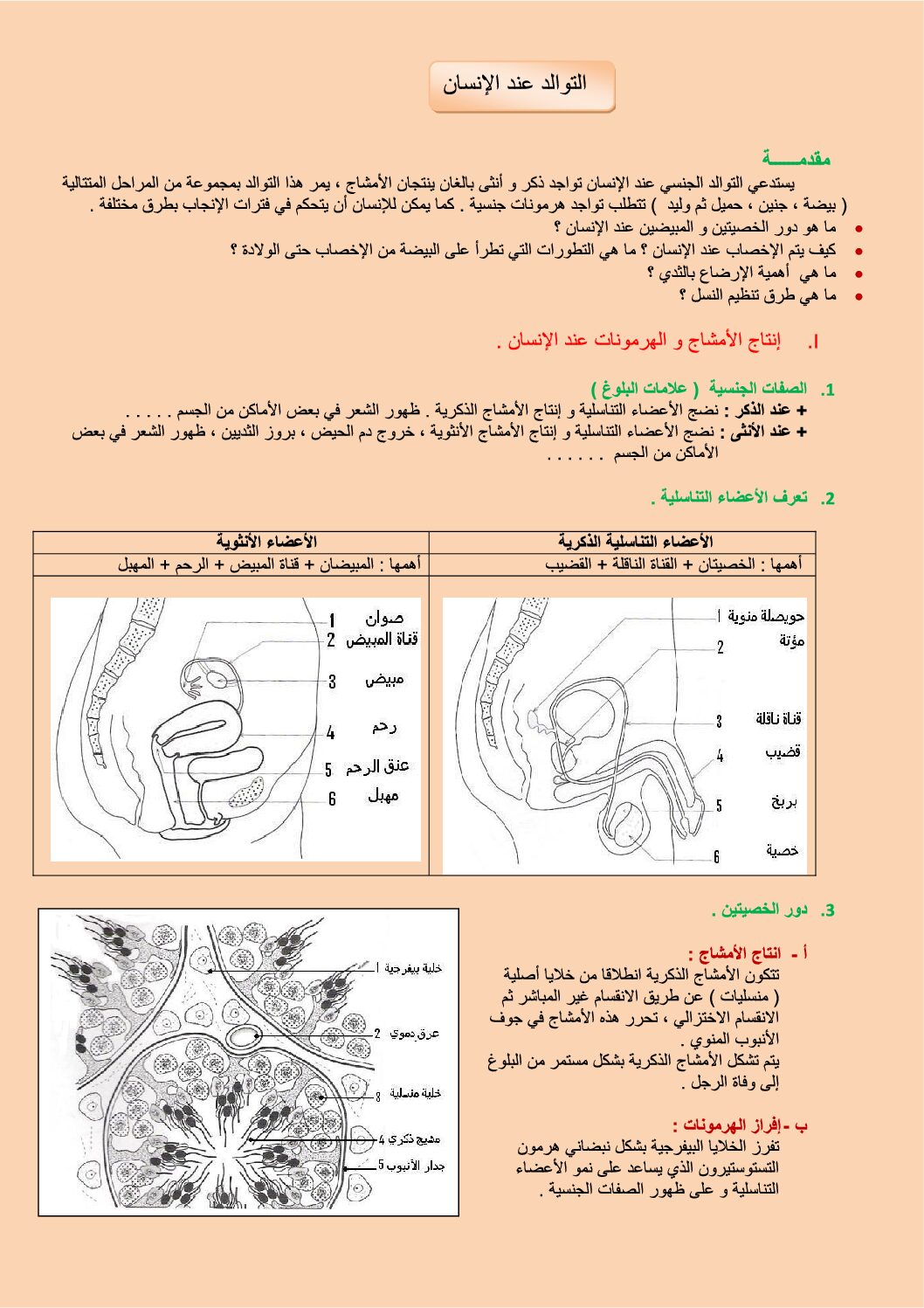 المستوى الثاني درس التوالد عند الإنسان علوم طبيعية 4 متوسط