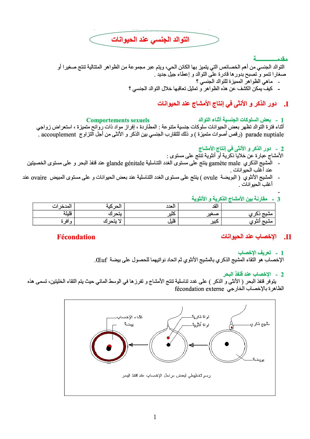 المستوى الثاني درس التوالد عند الحيوانات علوم طبيعية 4 متوسط