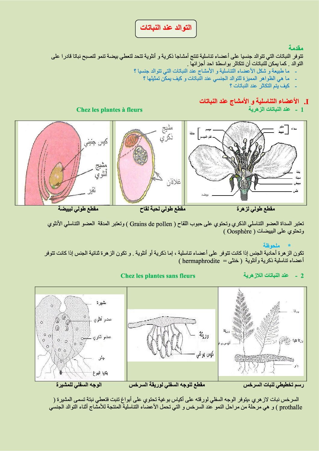 المستوى الثاني درس التوالد عند النباتات علوم طبيعية 4 متوسط