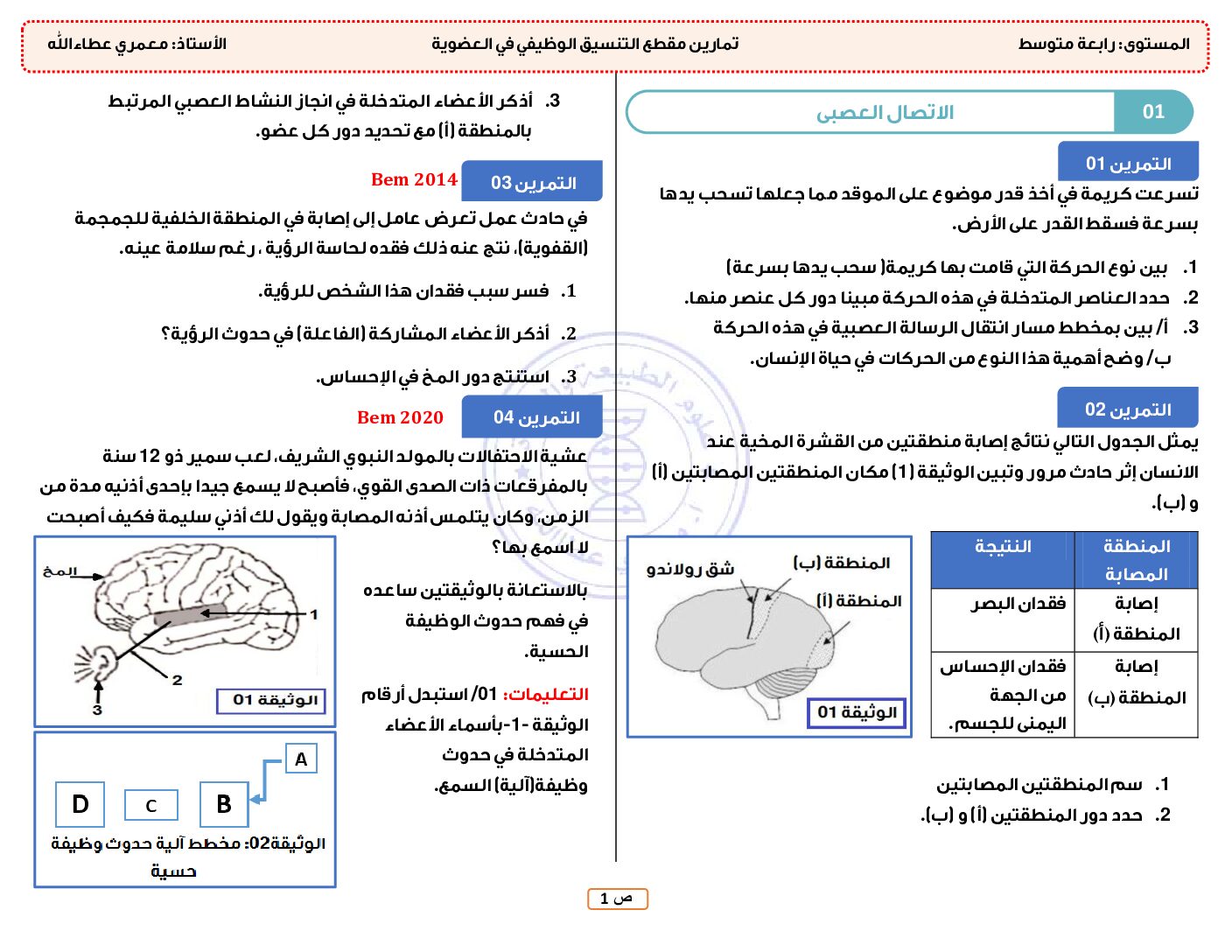 تمارين مقطع التنسيق الوظيفي في العضوية العصب المناعة في العلوم الطبيعية 4 متوسط