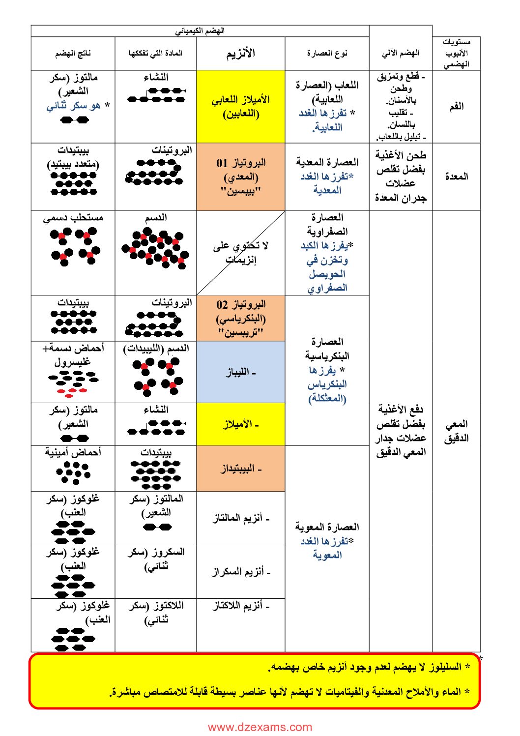 جدول الأنزيمات في علوم الطبيعة والحياة للأستاذة ميلودي صارة 4 متوسط