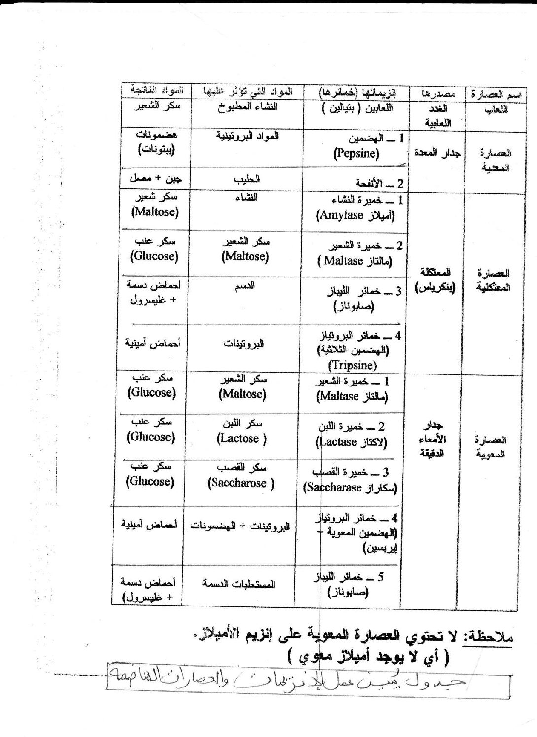 جدول يبين عمل الإنزيمات والعصارات الهاضمة 4 متوسط