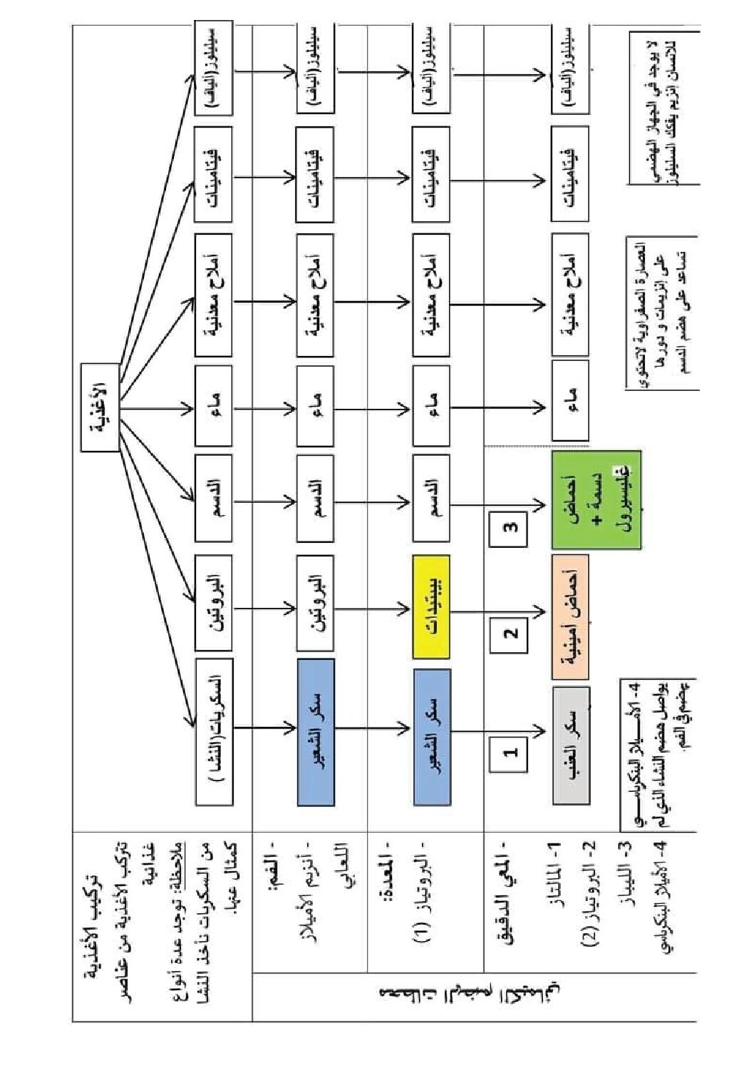 رسومات تخطيطية في مادة العلوم الطبيعية الجيل الثاني 4 متوسط - موقع ...