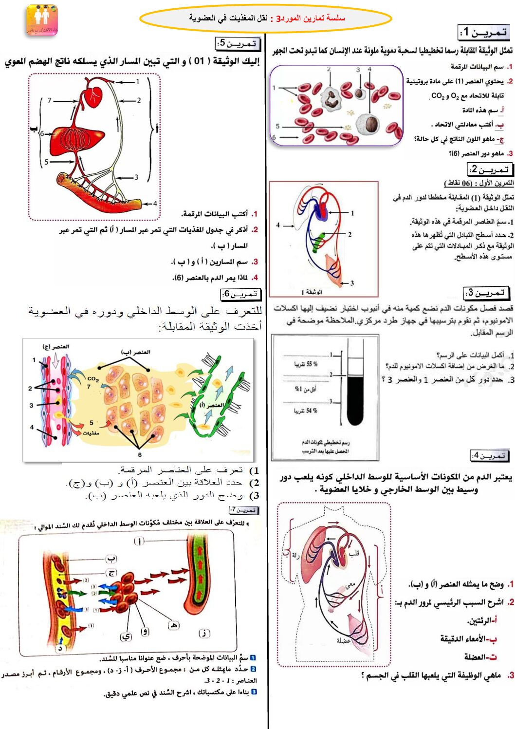 سلسة تمارين نقل المغذيات في العضوية 4 متوسط