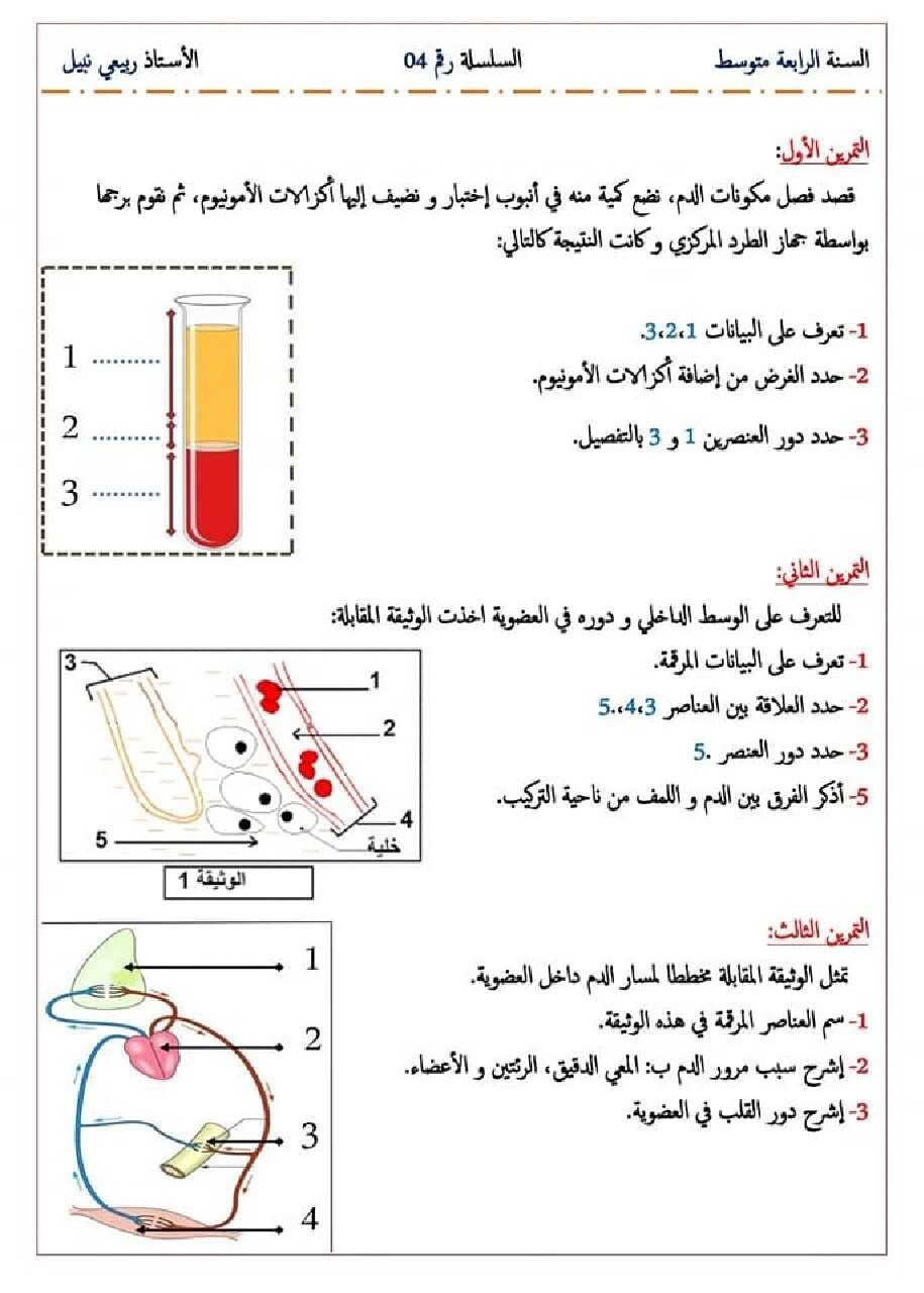 سلسلة التمارين رقم 4 في مادة العلوم الطبيعية 4 متوسط