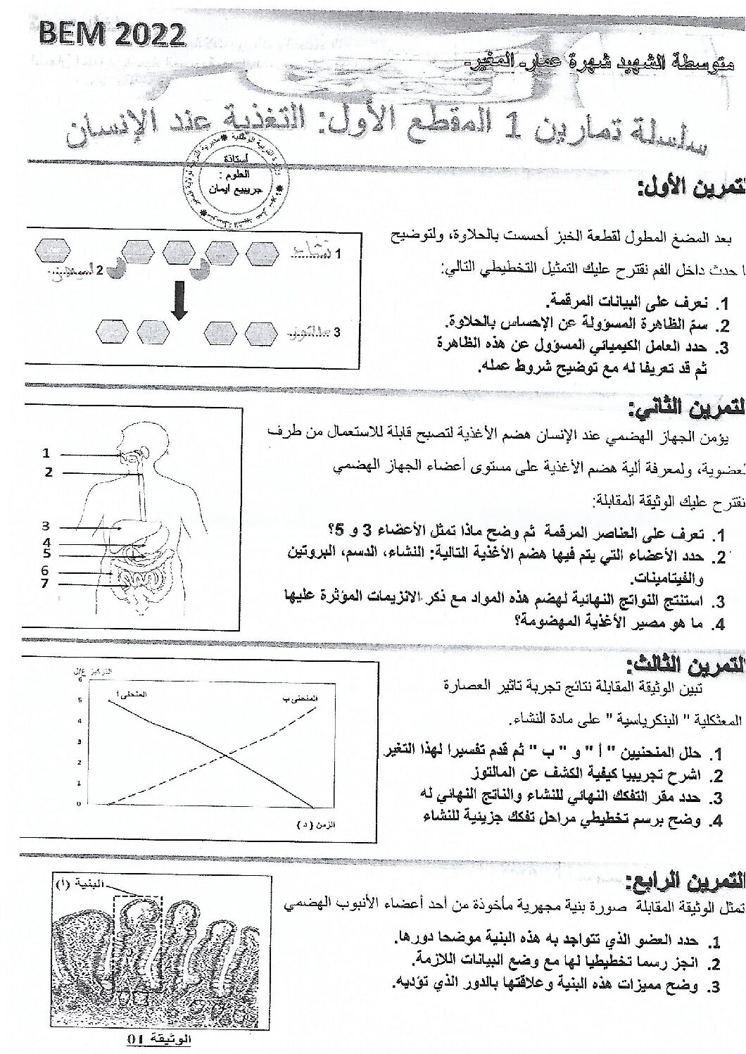 سلسلة تمارين التغدية عند الانسان من متوسطة الشهيد شهرة عمار بالمغير 4 متوسط
