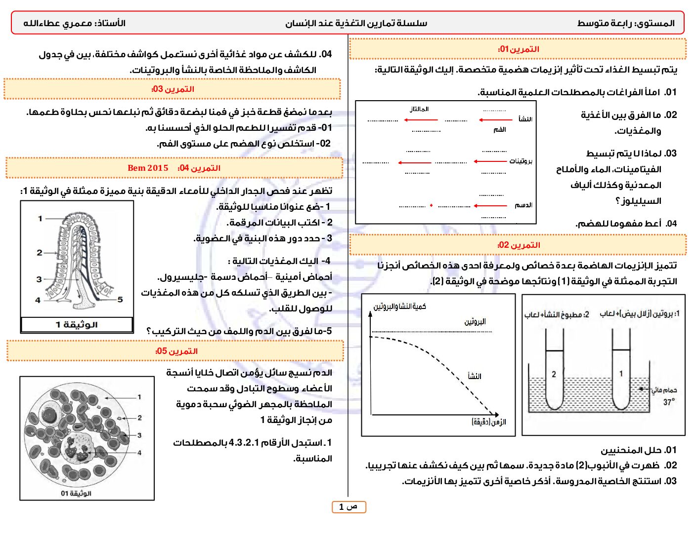 سلسلة تمارين التغذية عند الإنسان في مادة العلوم الطبيعية 4 متوسط