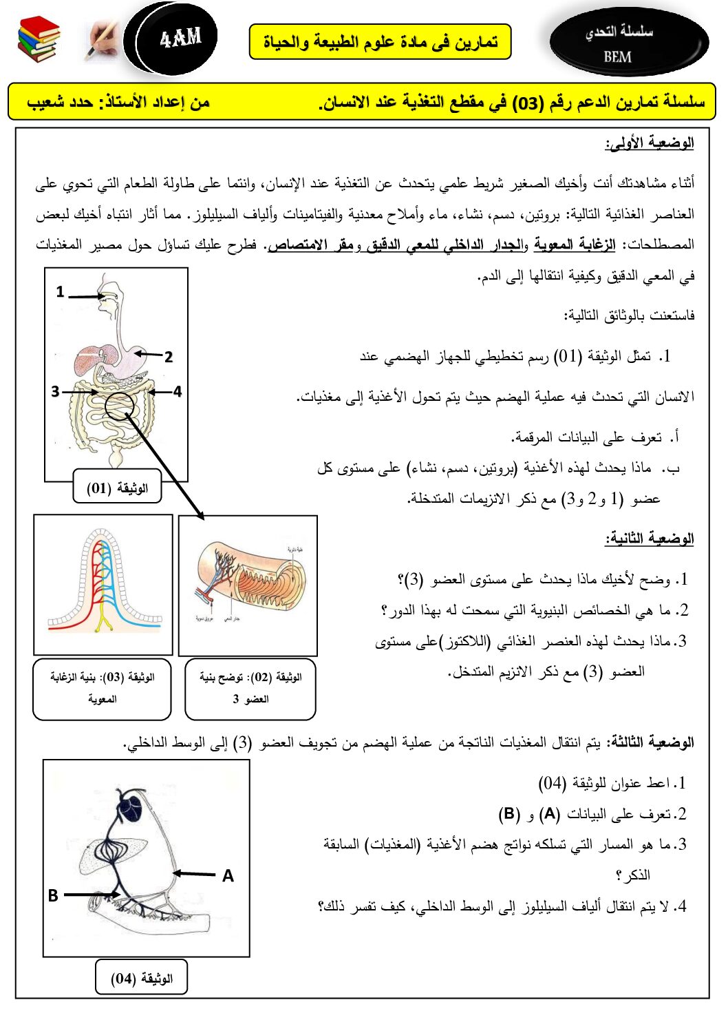 سلسلة تمارين الدعم رقم 3 في مقطع التغذية عند الانسان 4 متوسط