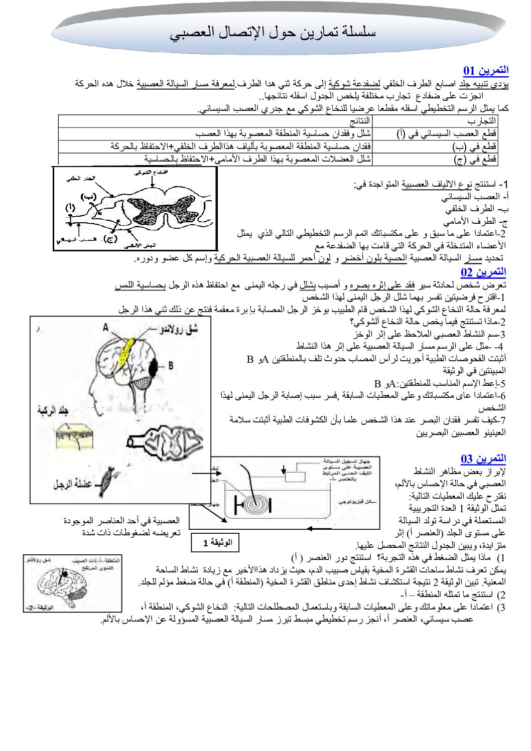 سلسلة تمارين حول الاتصال العصبي في علوم الطبيعة و الحياة 4 متوسط