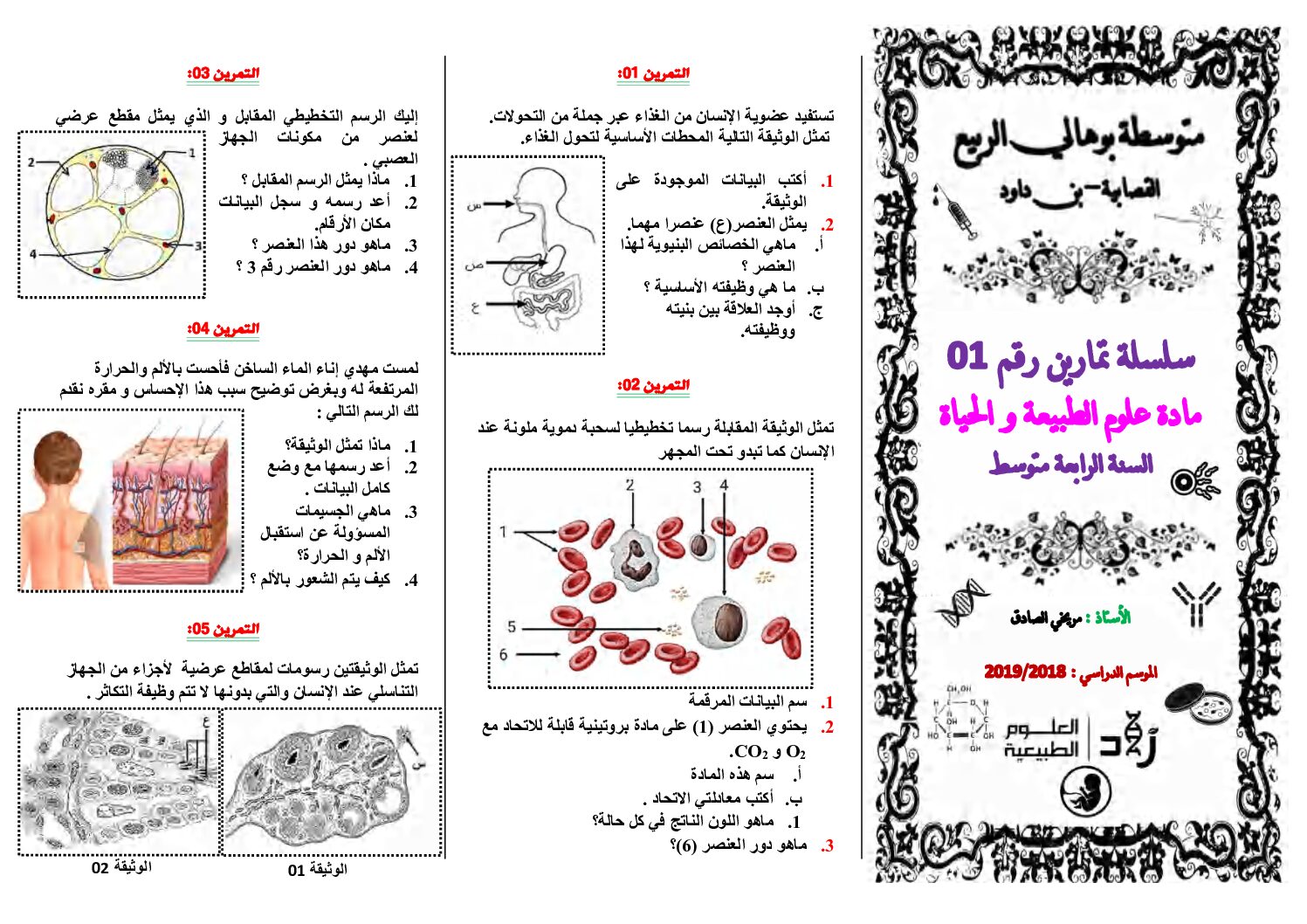 سلسلة تمارين رقم 01 في مادة علوم الطبيعة و الحياة 4 متوسط