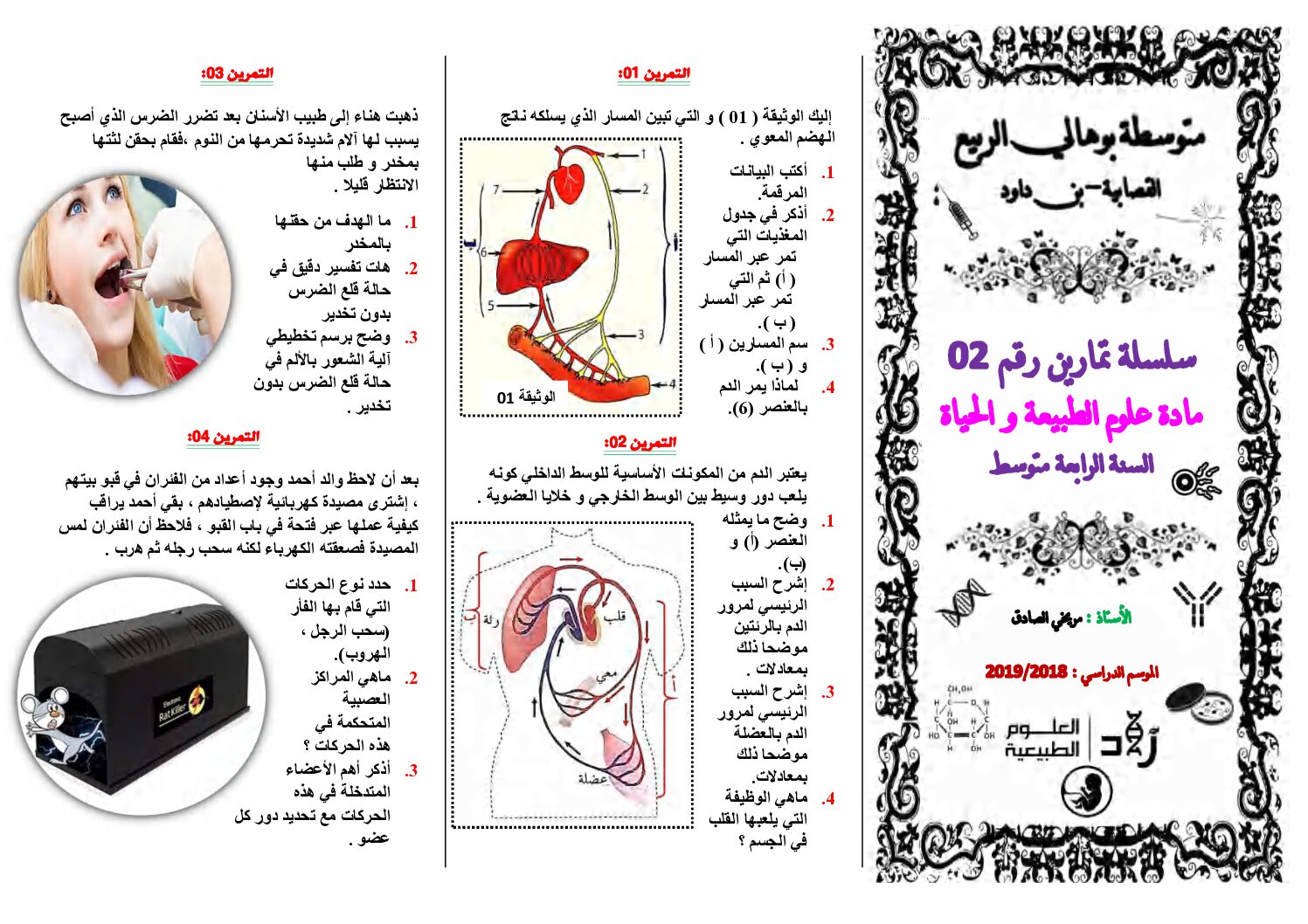 سلسلة تمارين رقم 02 في مادة علوم الطبيعة و الحياة 4 متوسط