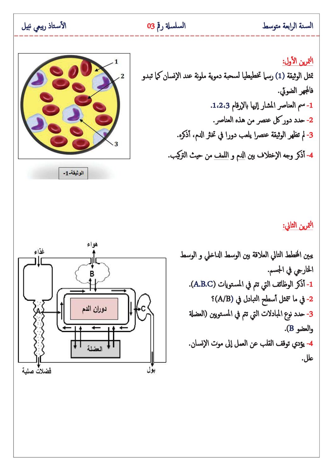 سلسلة تمارين رقم 3 مع الحل في العلوم الطبيعية 4 متوسط