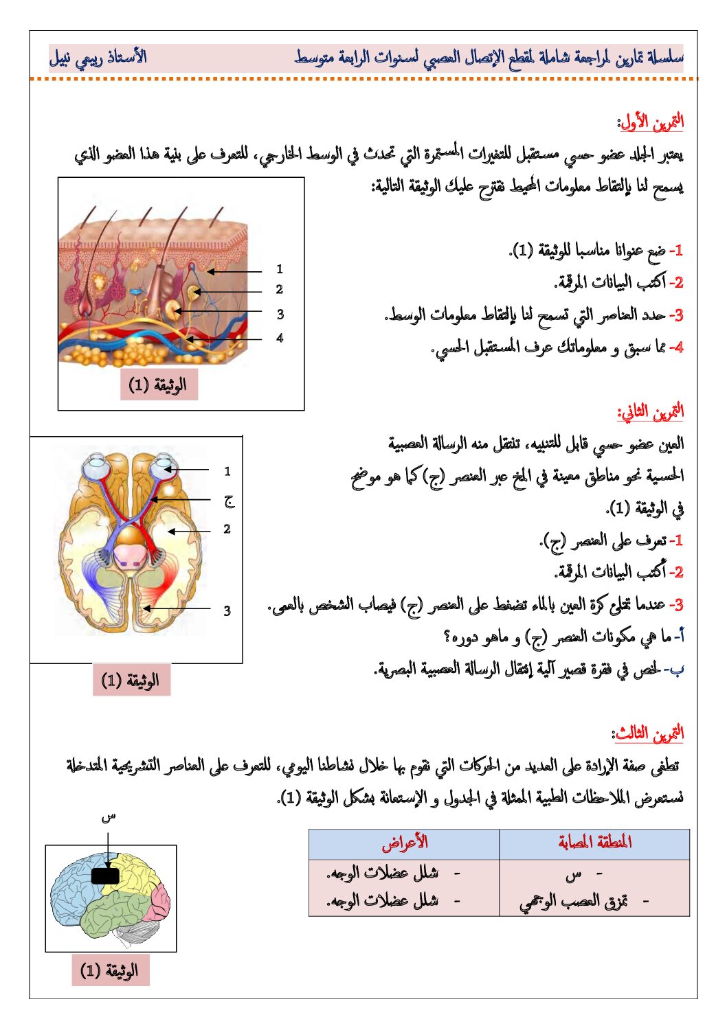 سلسلة تمارين شاملة مع الحل لمقطع الاتصال العصبي في العلوم الطبيعية 4 متوسط