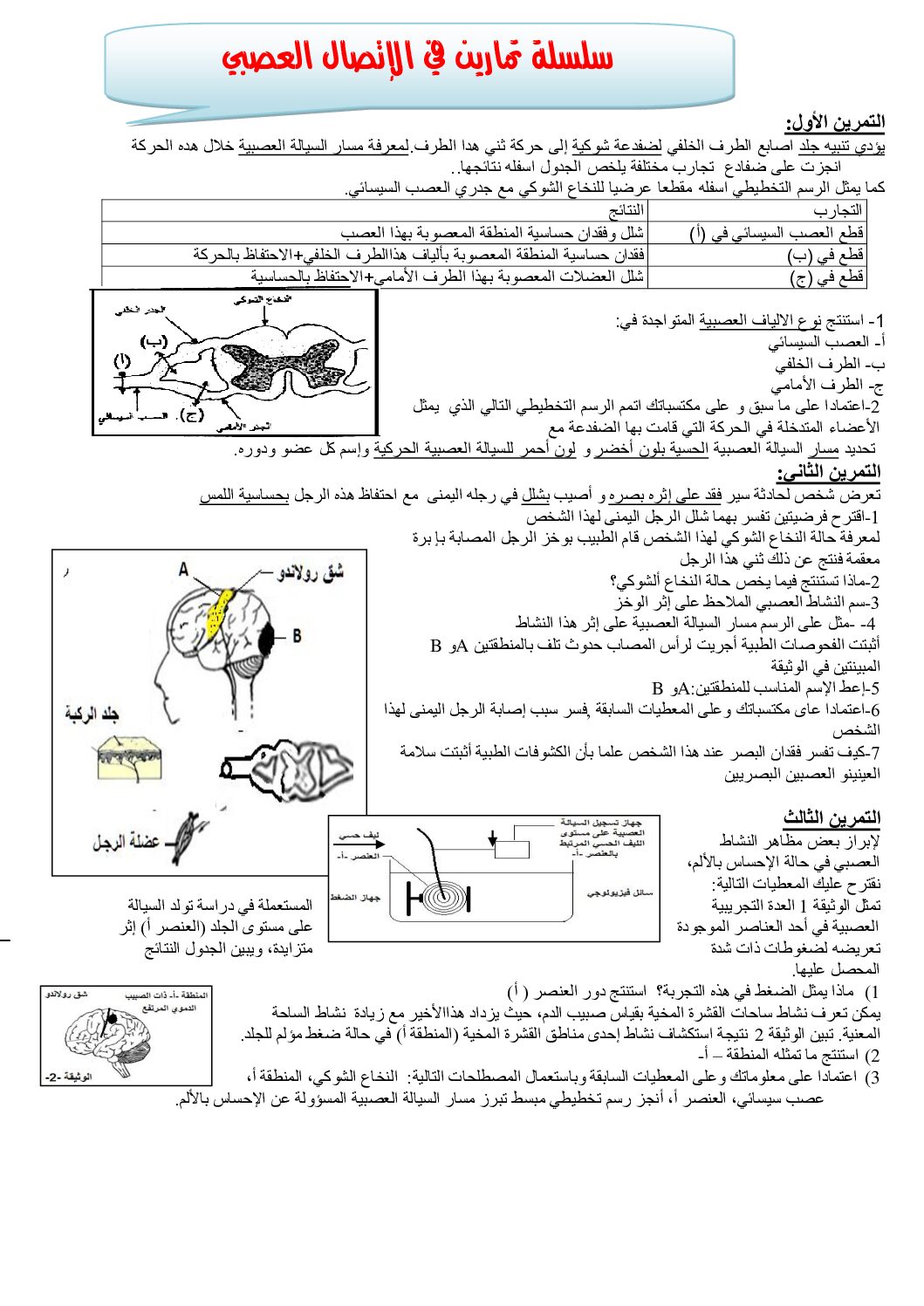 سلسلة تمارين في الاتصال العصبي في مادة علوم الطبيعة و الحياة 4 متوسط