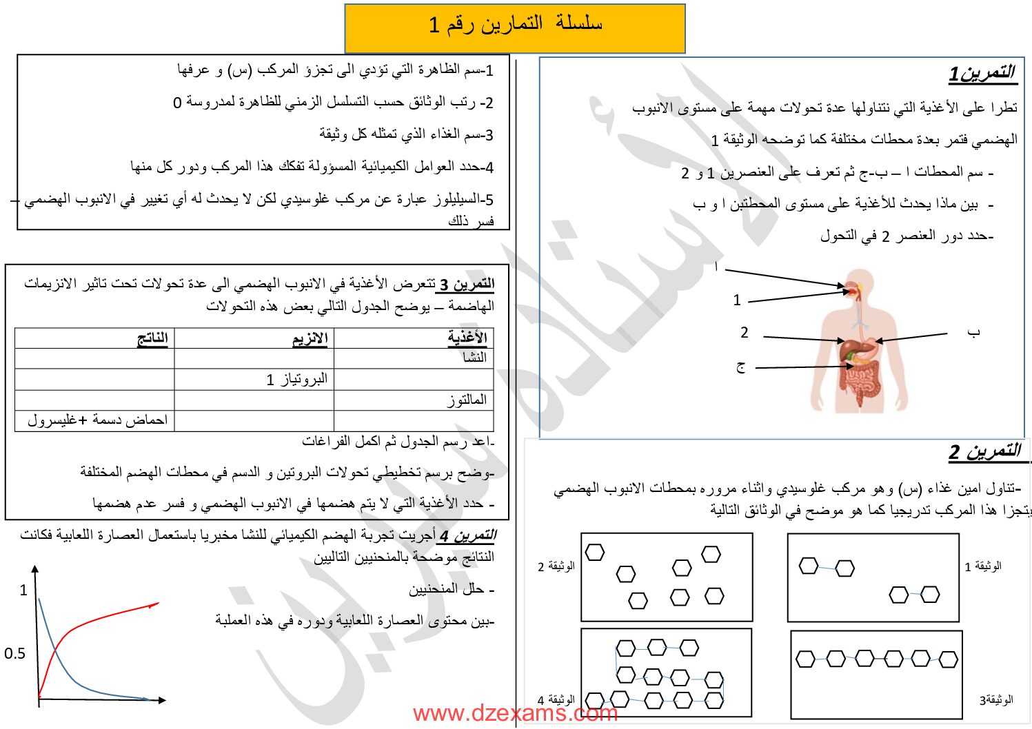 سلسلة تمارين في علوم الطبيعة والحياة مع الحل للاستاذة سيرين 4 متوسط