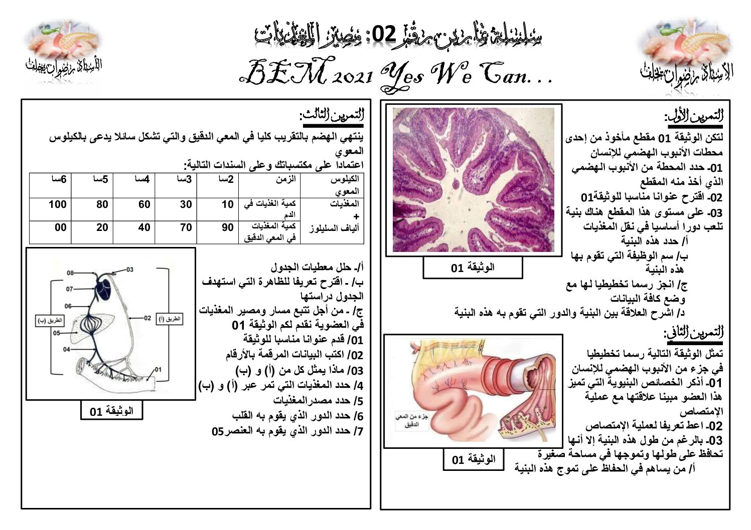 سلسلة تمارين مصير المغذيات نقل المغذيات في العلوم الطبيعية 4 متوسط