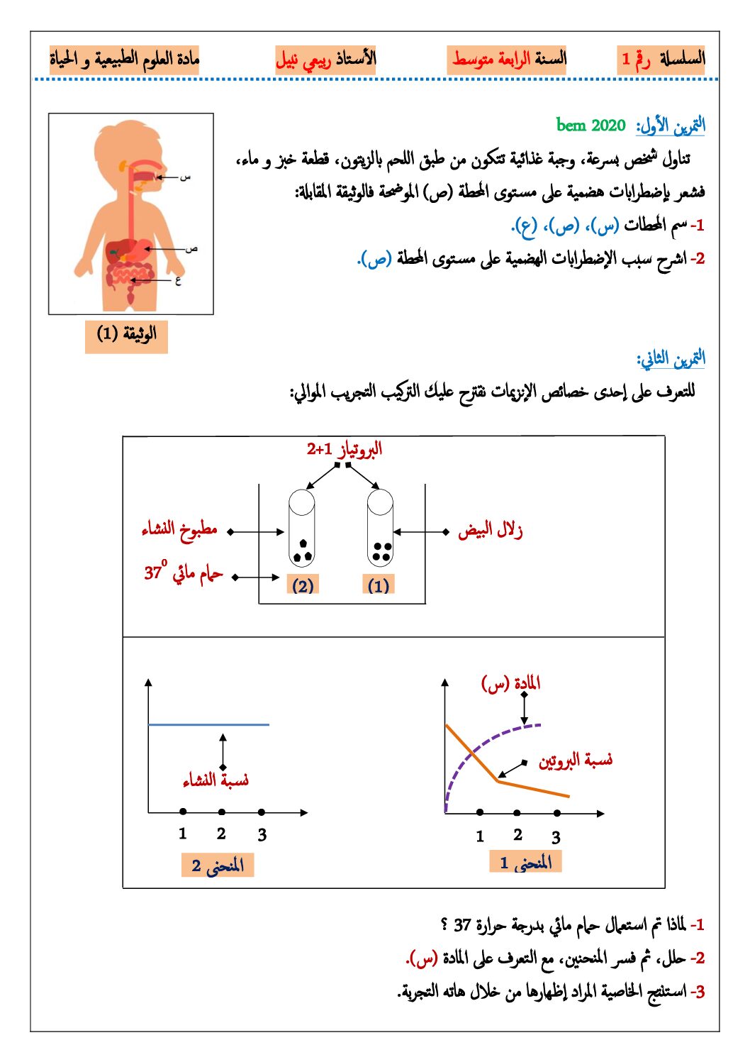 سلسلة تمارين مع الحل حول المقطع 01 في علوم الطبيعة و الحياة 4 متوسط