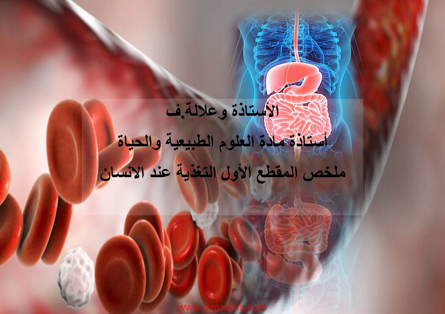 مراجعة دروس الفصل الأول في العلوم الطبيعية من مدرسة أوبينياتر 4 متوسط