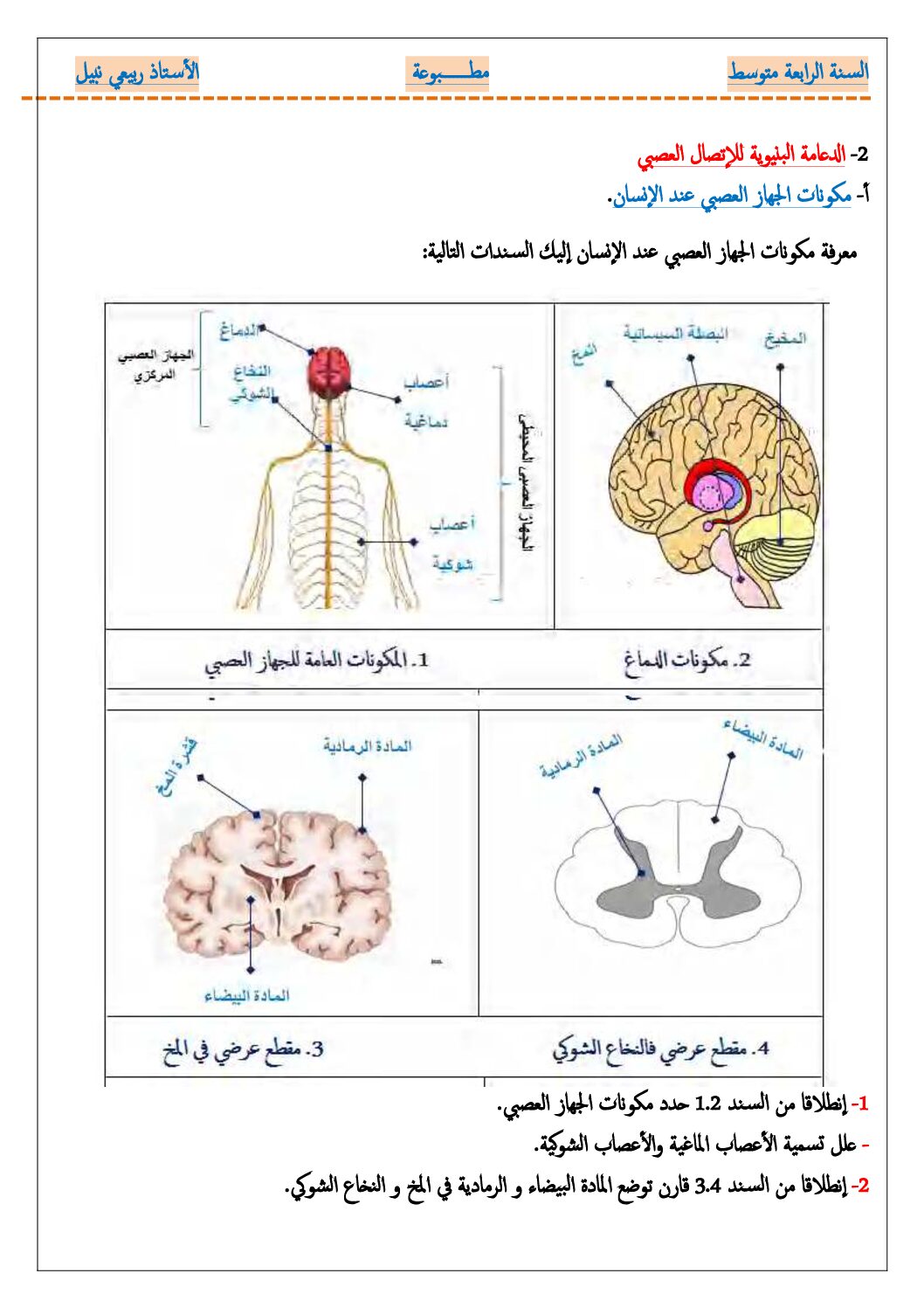 مطبوعة خاصة بنشاط مكونات الجهاز العصبي في العلوم الطبيعية 4 متوسط