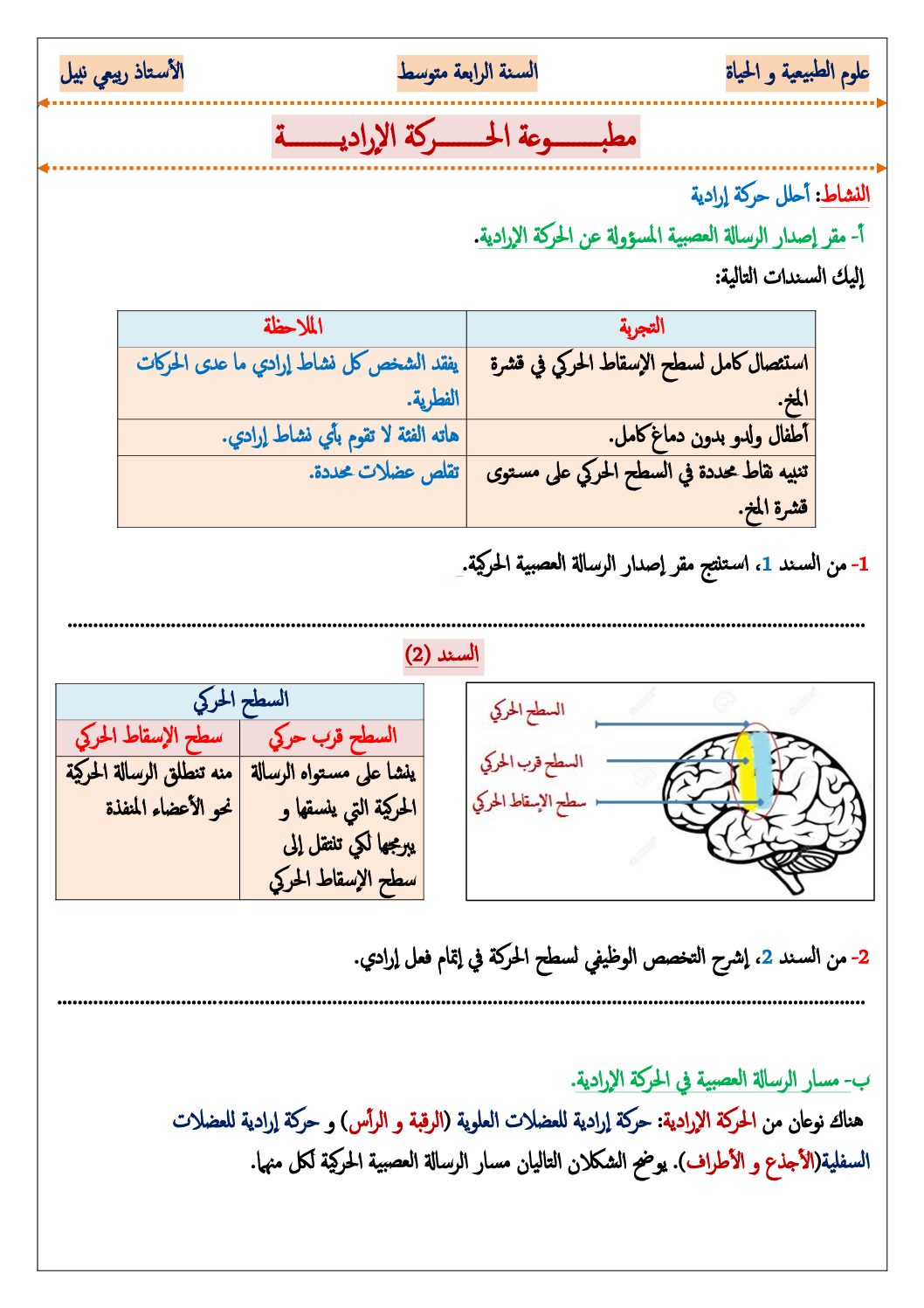 مطبوعة نشاط الحركة الإرادية في العلوم الطبيعية 4 متوسط