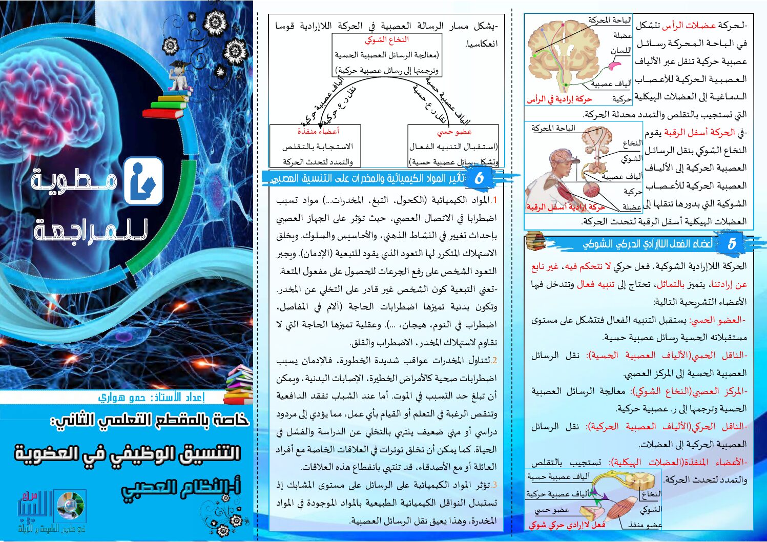 مطوية لمراجعة درس التنسيق الوظيفي في العضوية النظام العصبي 4 متوسط