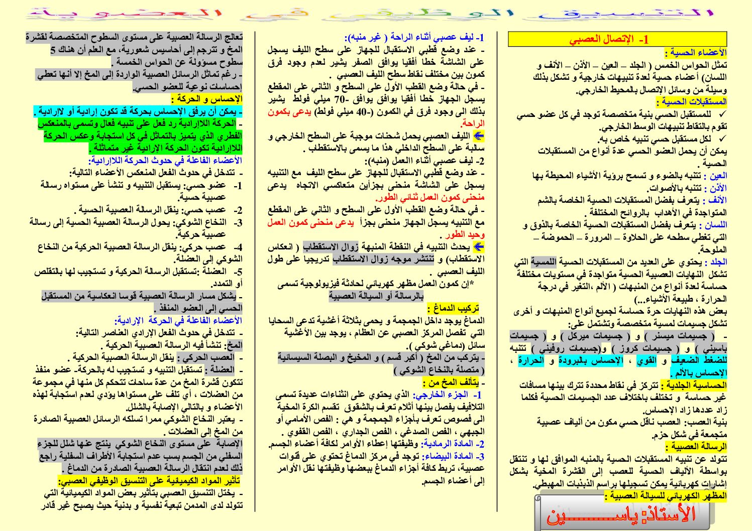 مطوية لمراجعة درس التنسيق الوظيفي في العضوية 4 متوسط