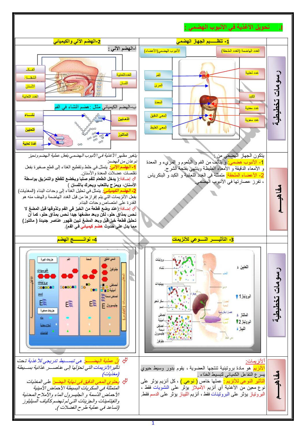 ملخصات التغذية عند الإنسان والتنسيق الوظيفي في العضوية 4 متوسط
