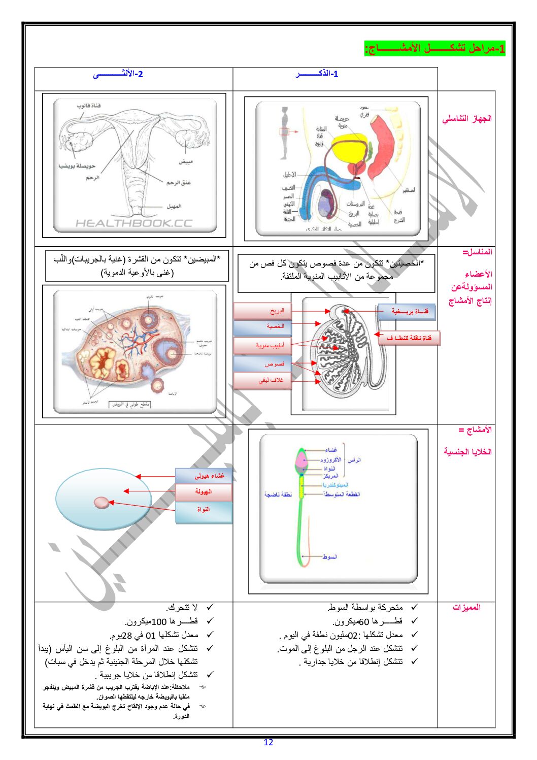 ملخصات انتقال الصفات الوراثية في علوم الطبيعة و الحياة 4 متوسط