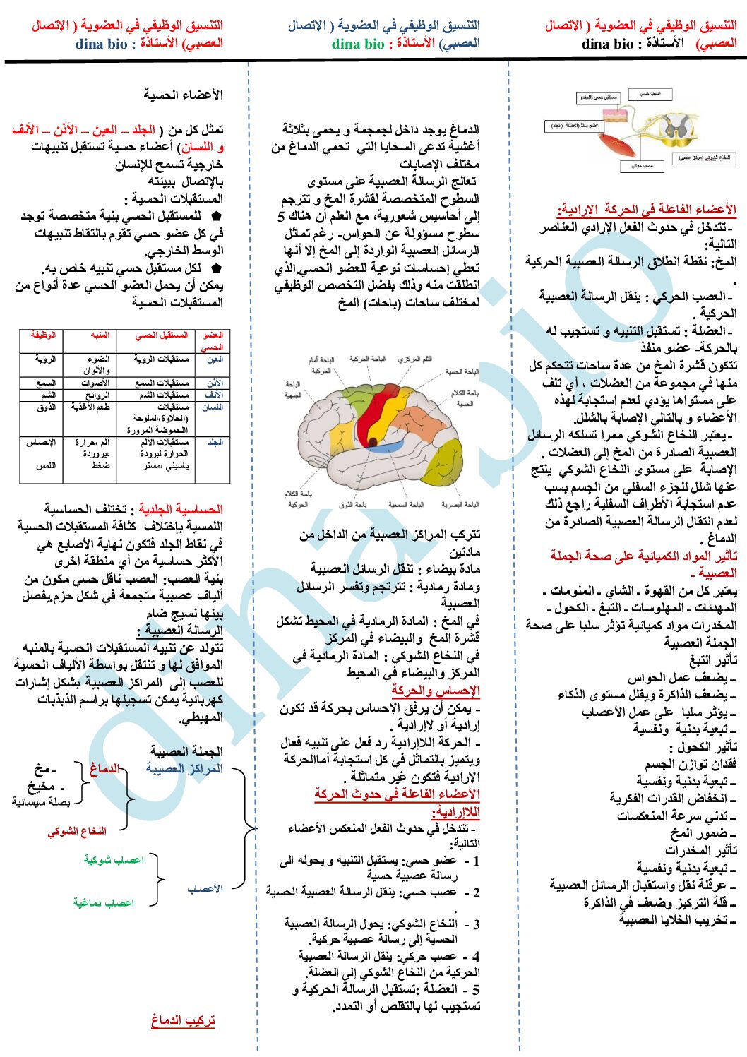 ملخص التنسيق الوظيفي في العضوية الاتصال العصبي 4 متوسط