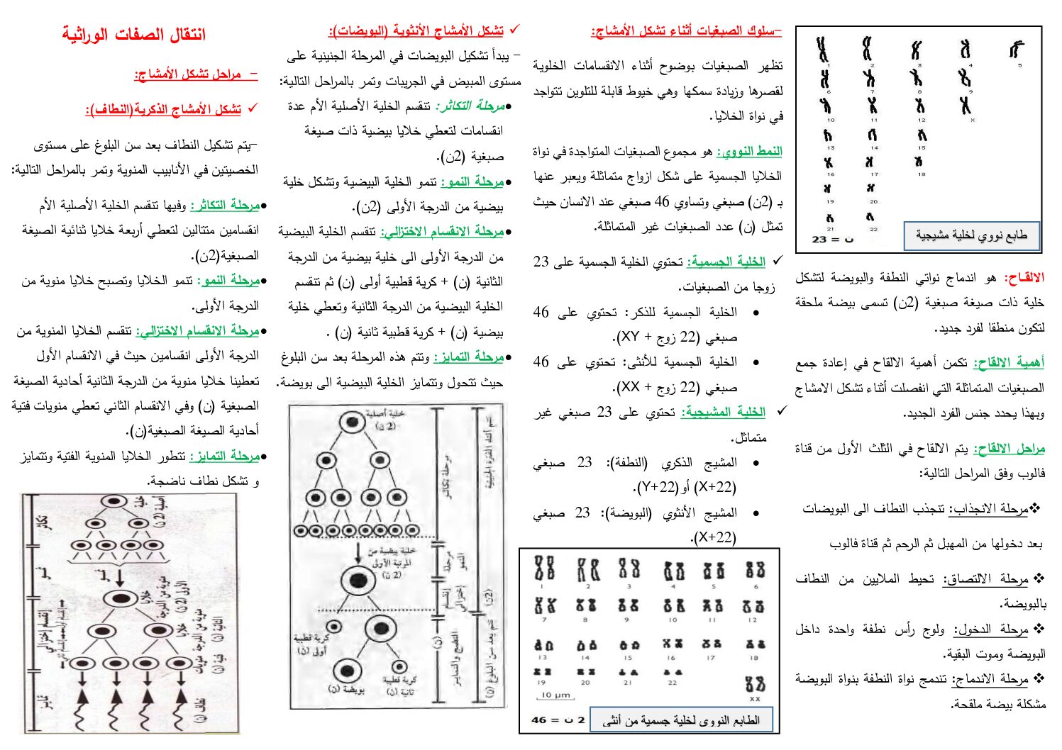 ملخص المقطع التعليمي 03 انتقال الصفات الوراثية 4 متوسط