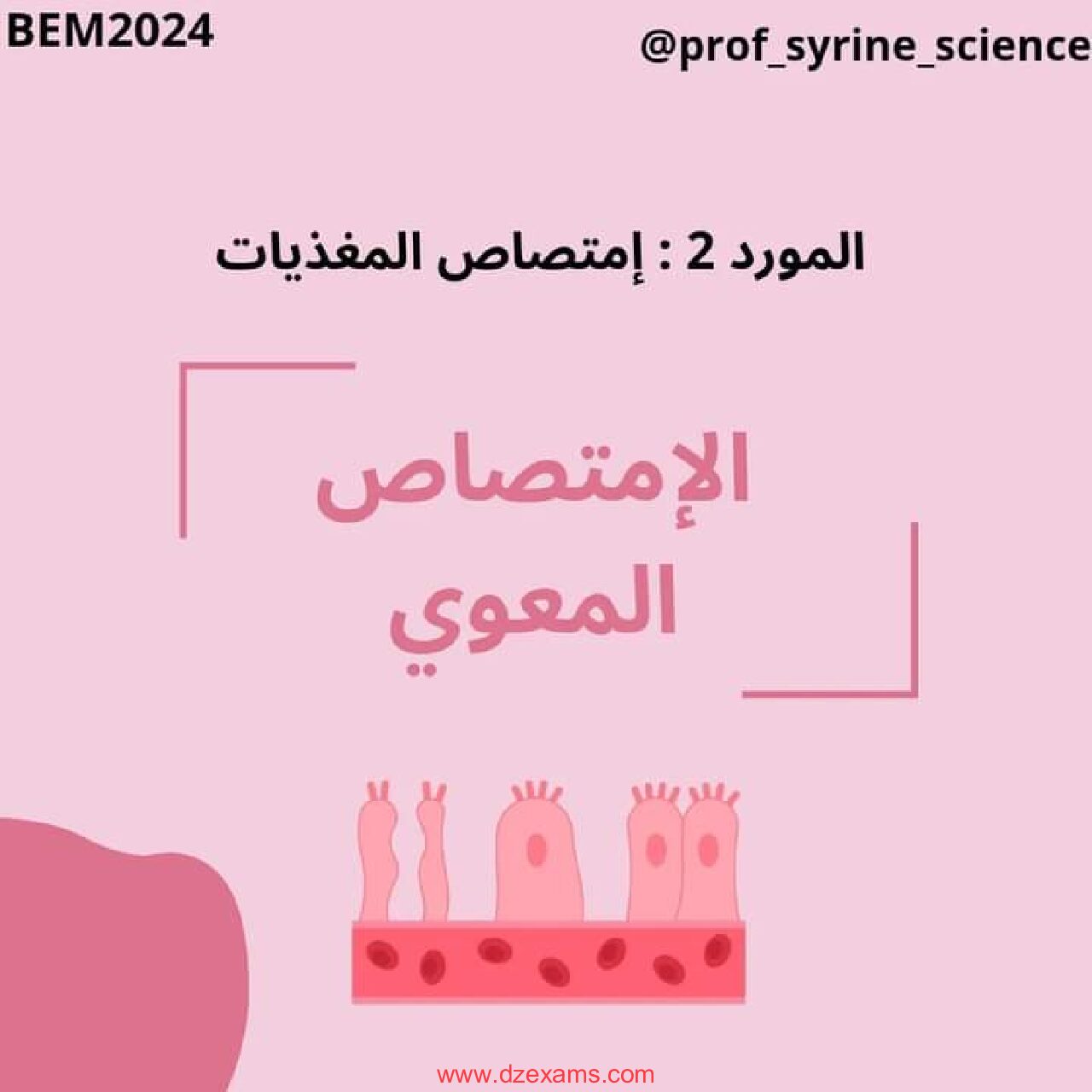 ملخص درس الامتصاص المعوي للاستاذة سيرين 4 متوسط